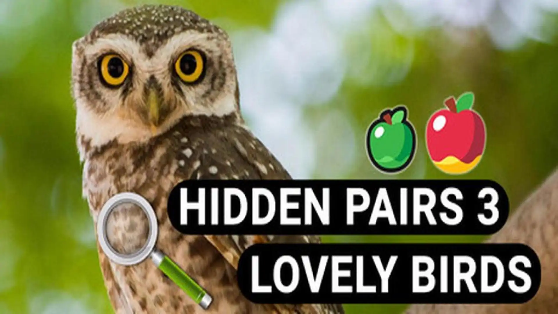 Hidden Pairs 3: Lovely Birds - Hidden Objects
