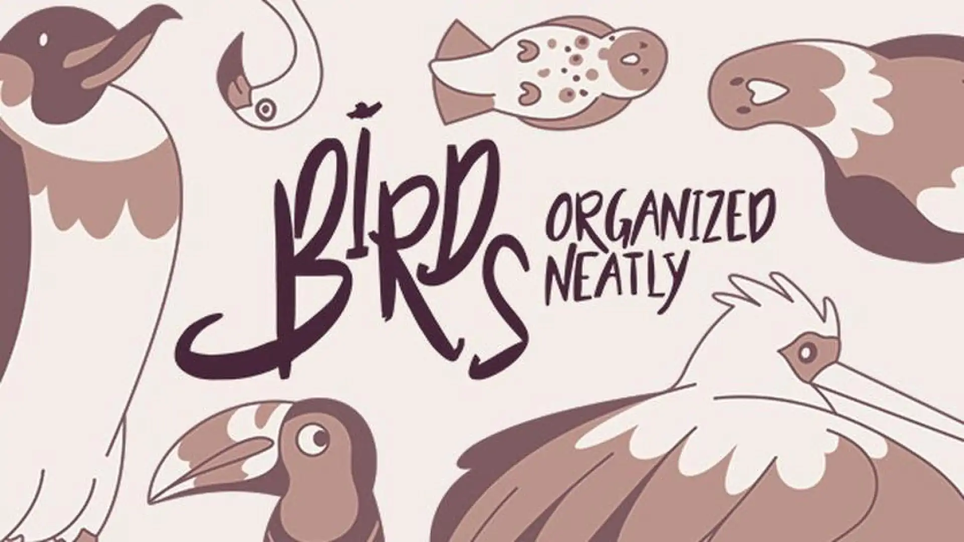 Birds Organized Neatly