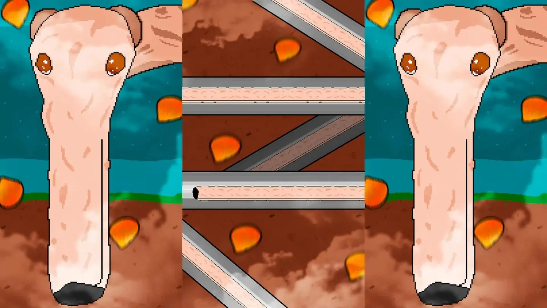 狗跑