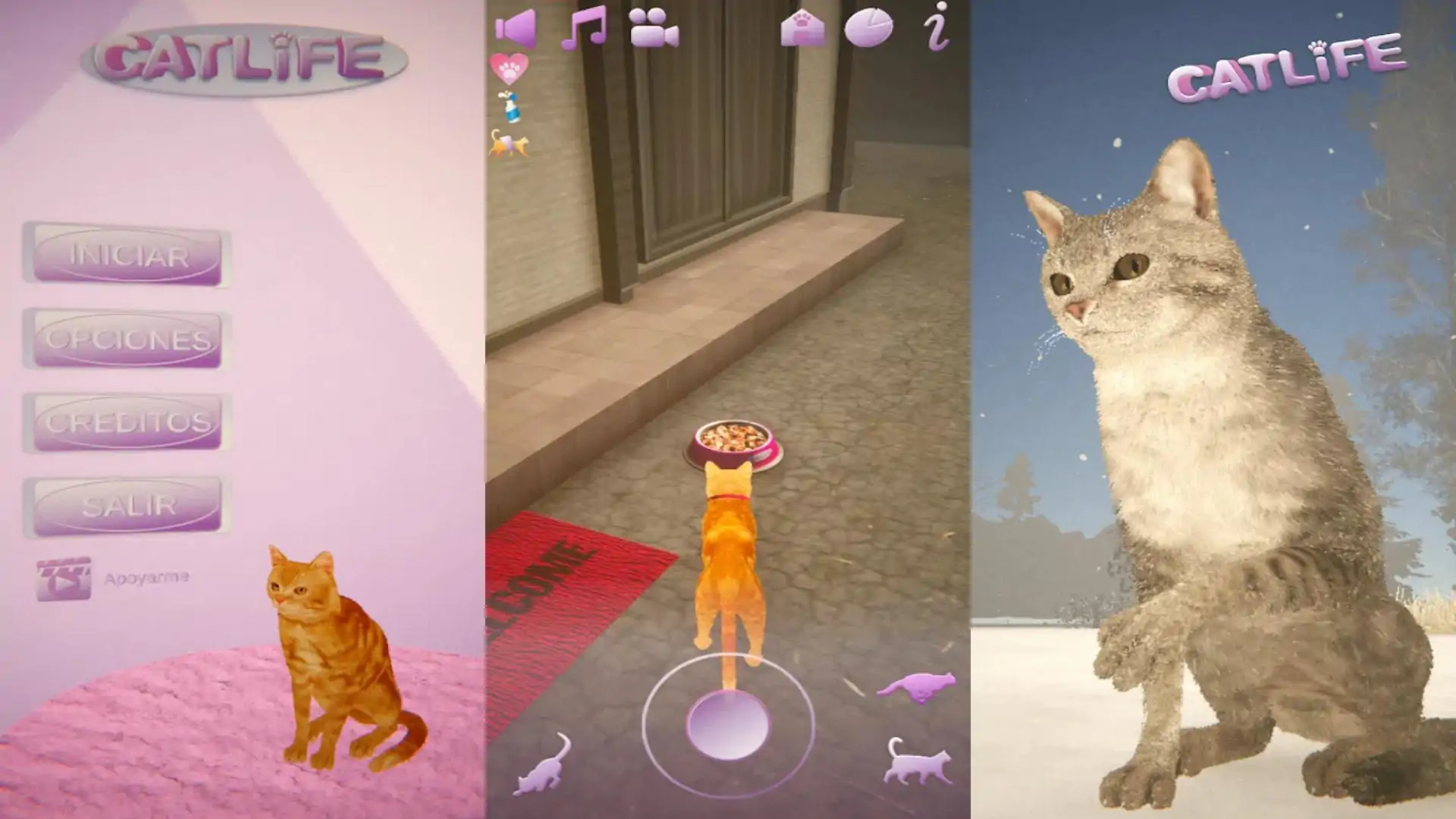 猫生活