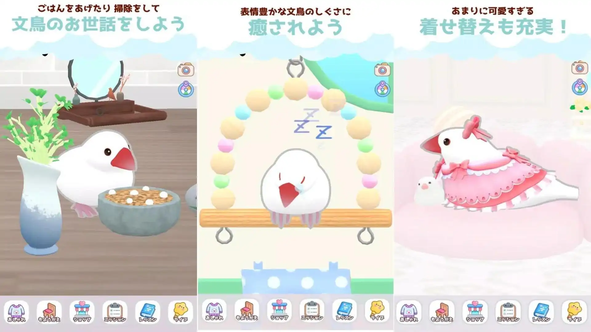 快乐麻雀生活 - 宠物训练 -