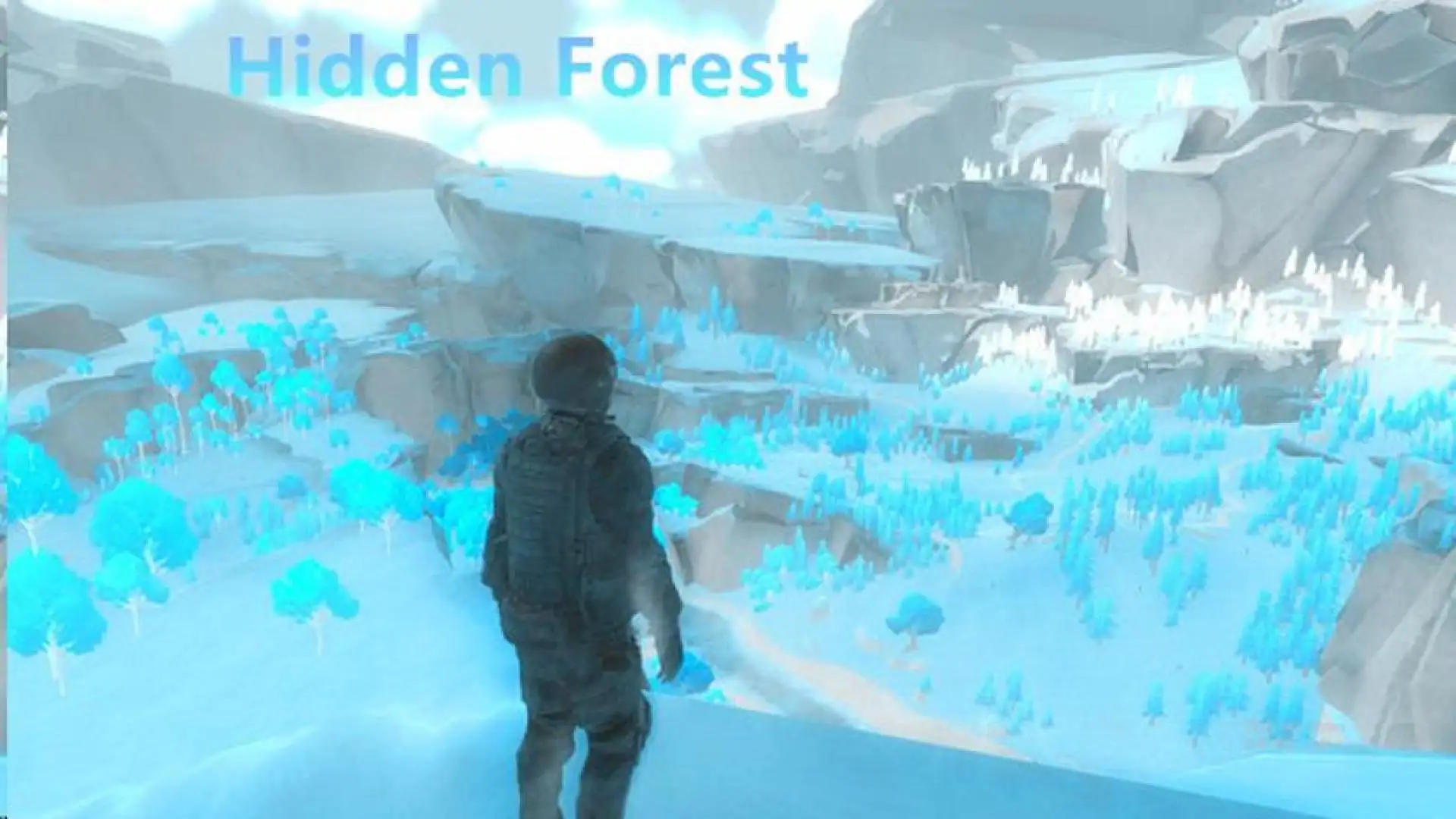 Hidden Forest