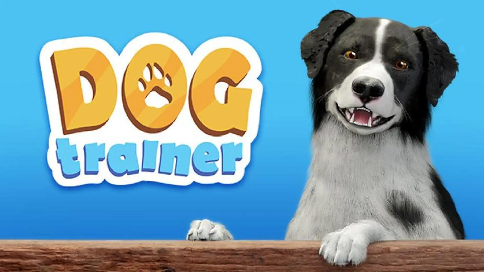 Dog Trainer