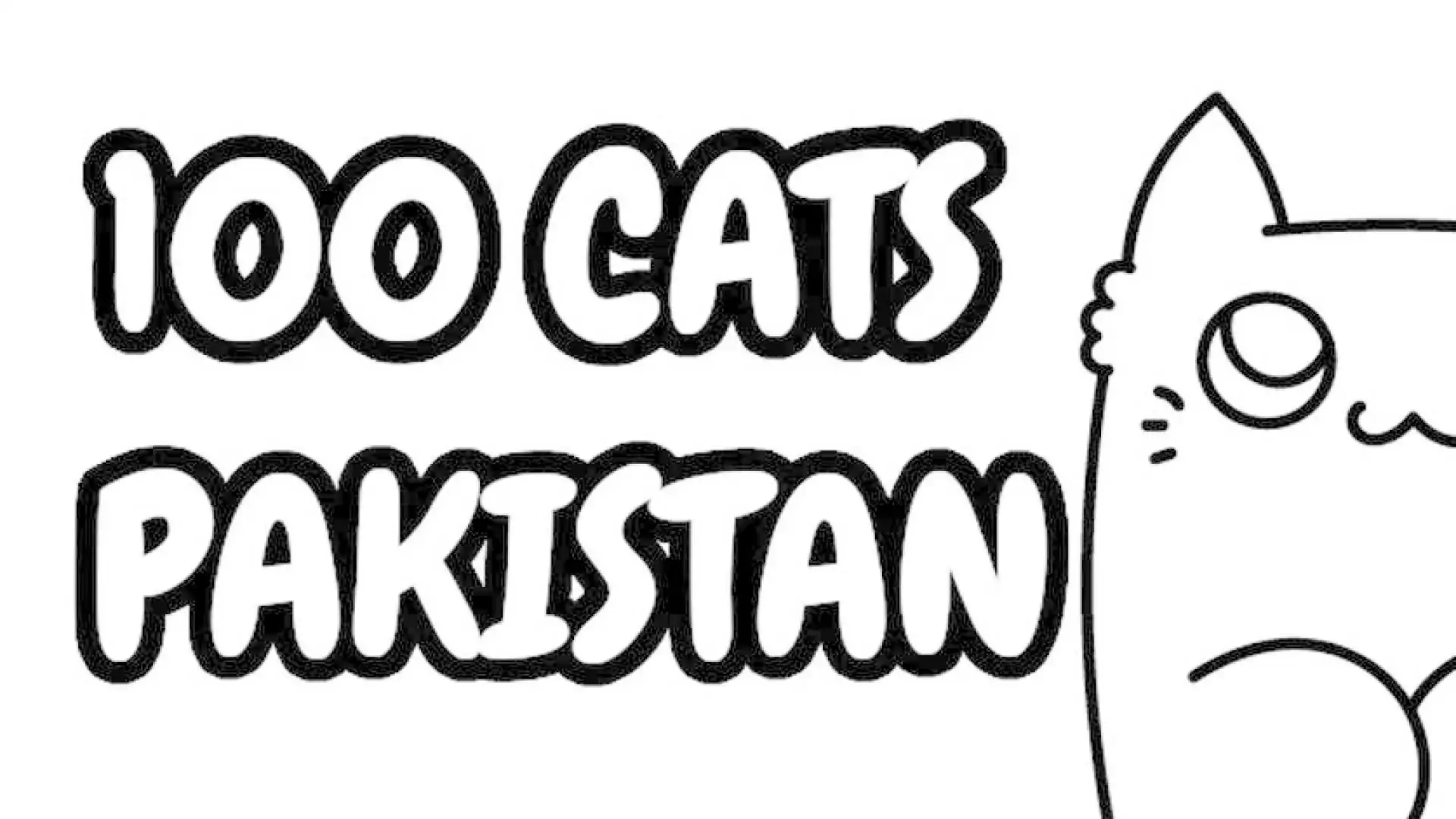100 只猫 巴基斯坦