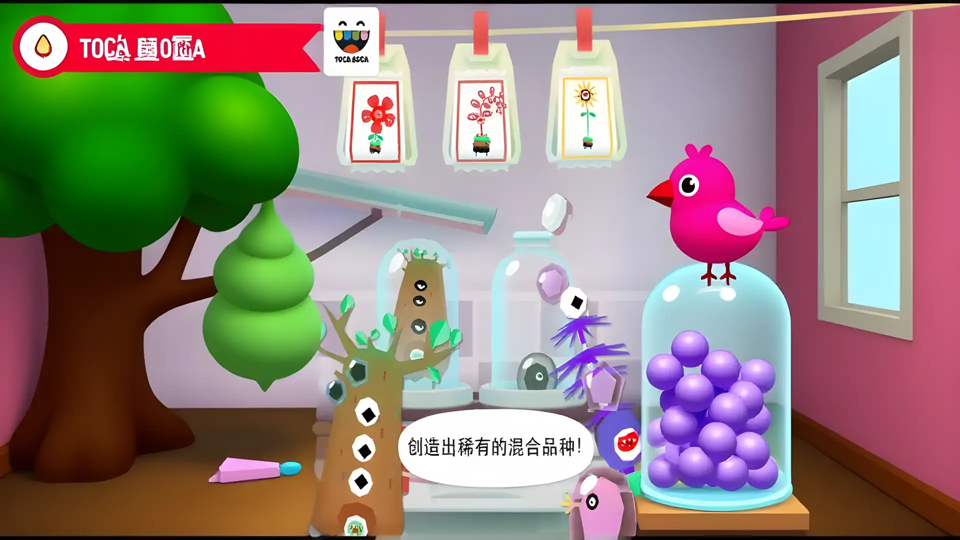 托卡实验室：植物