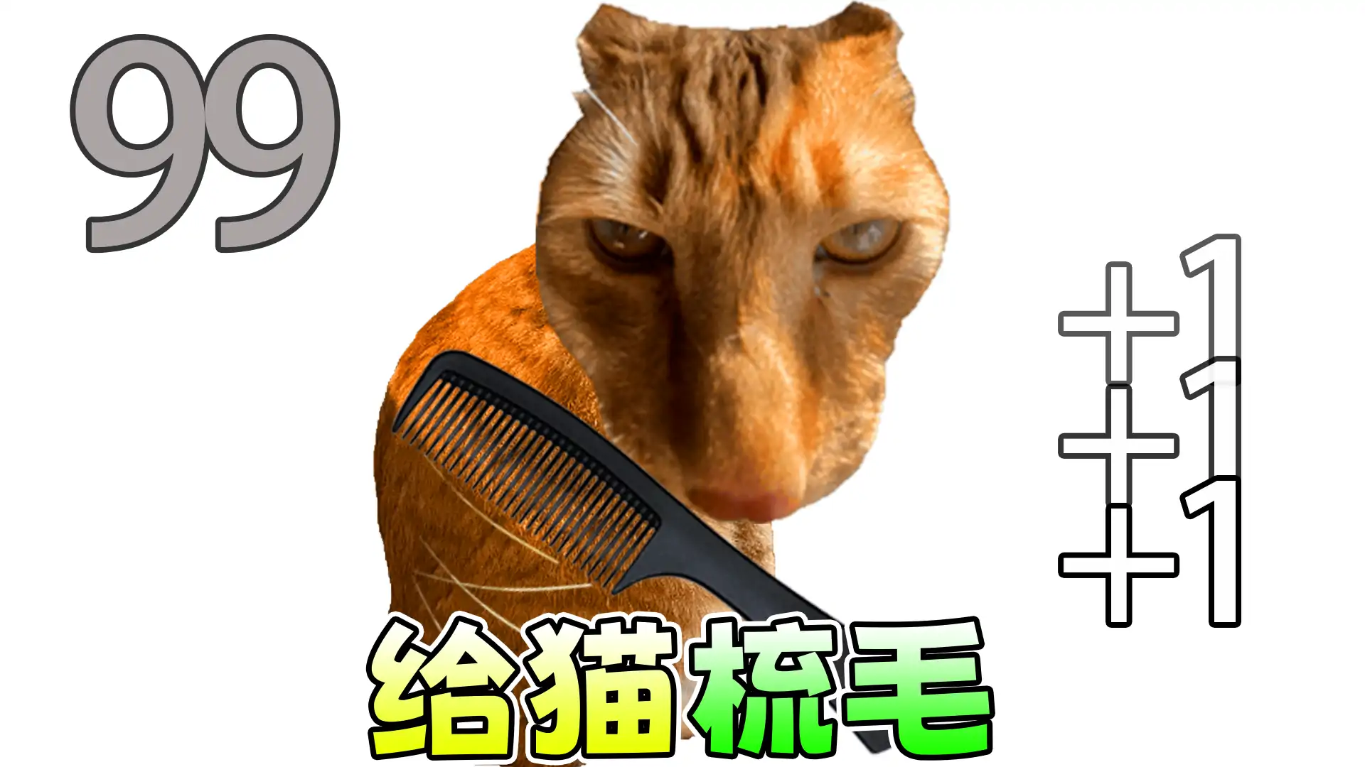 你在逗我吗