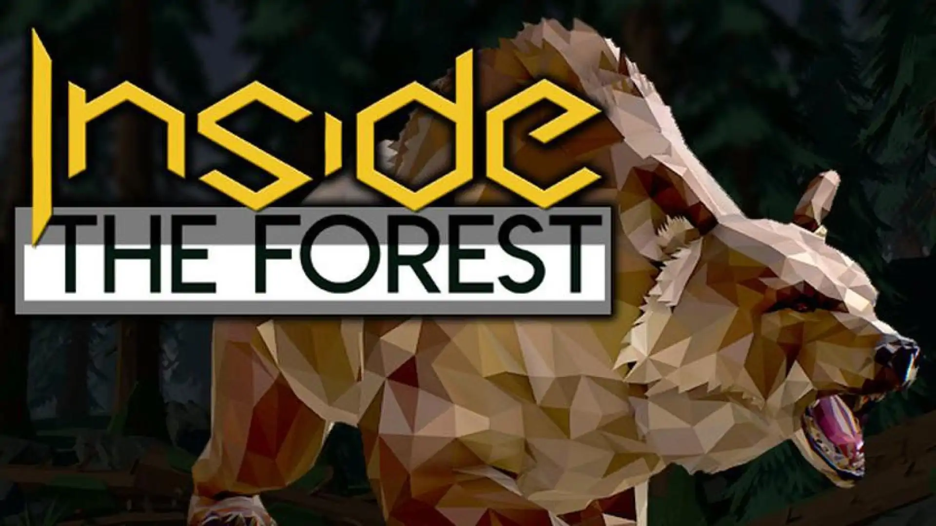 Inside the Forest