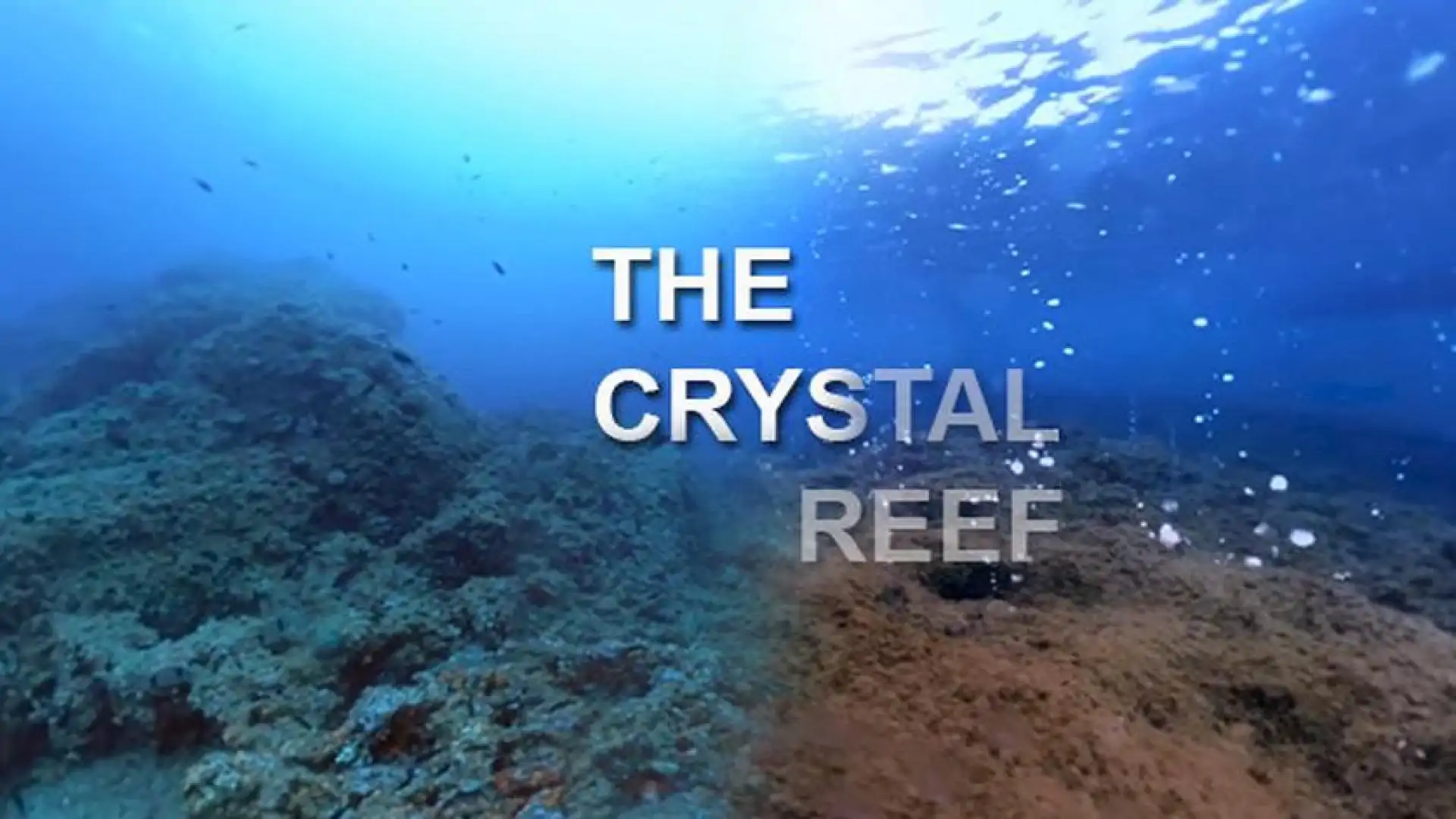 The Crystal Reef