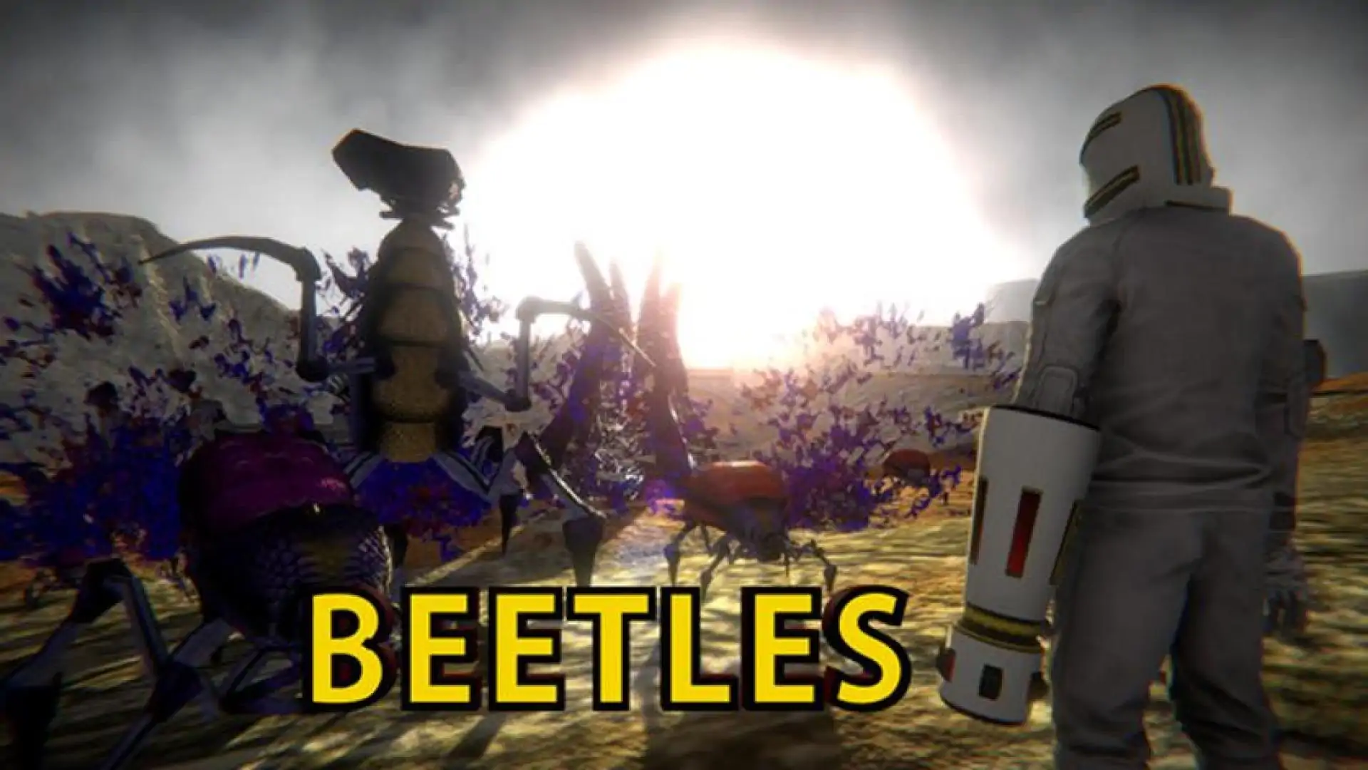 BEETLES