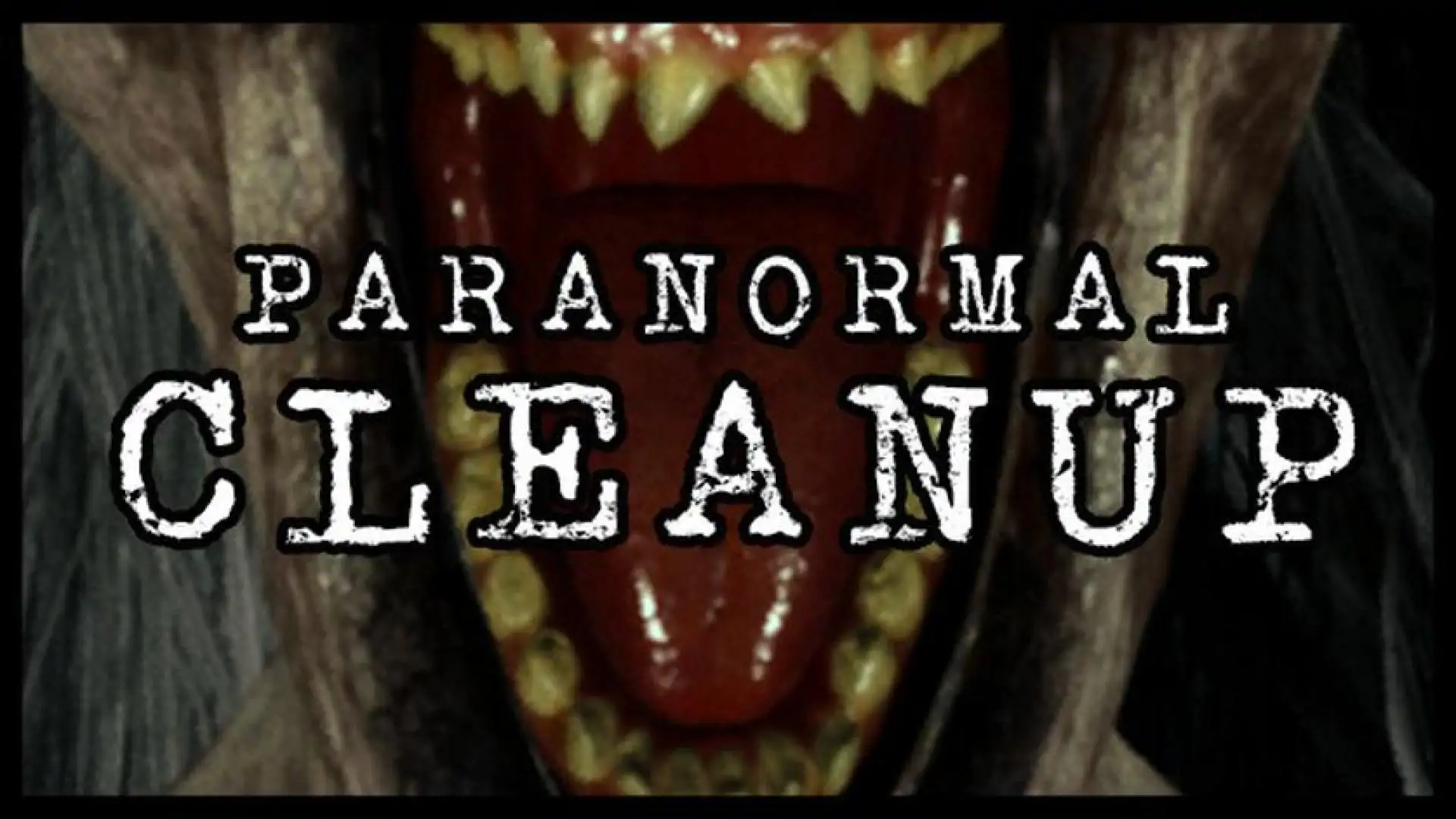 Paranormal Cleanup