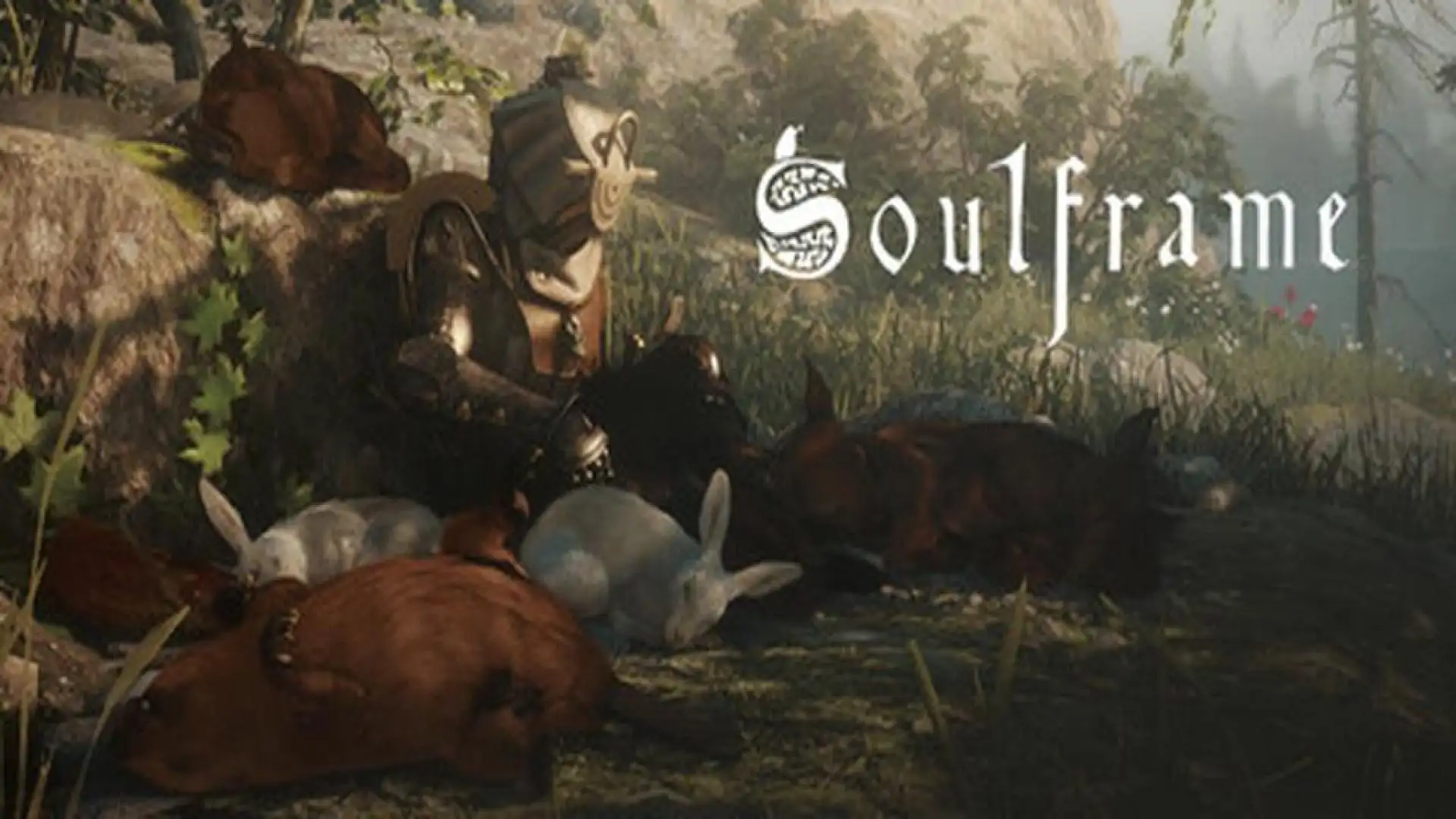 Soulframe