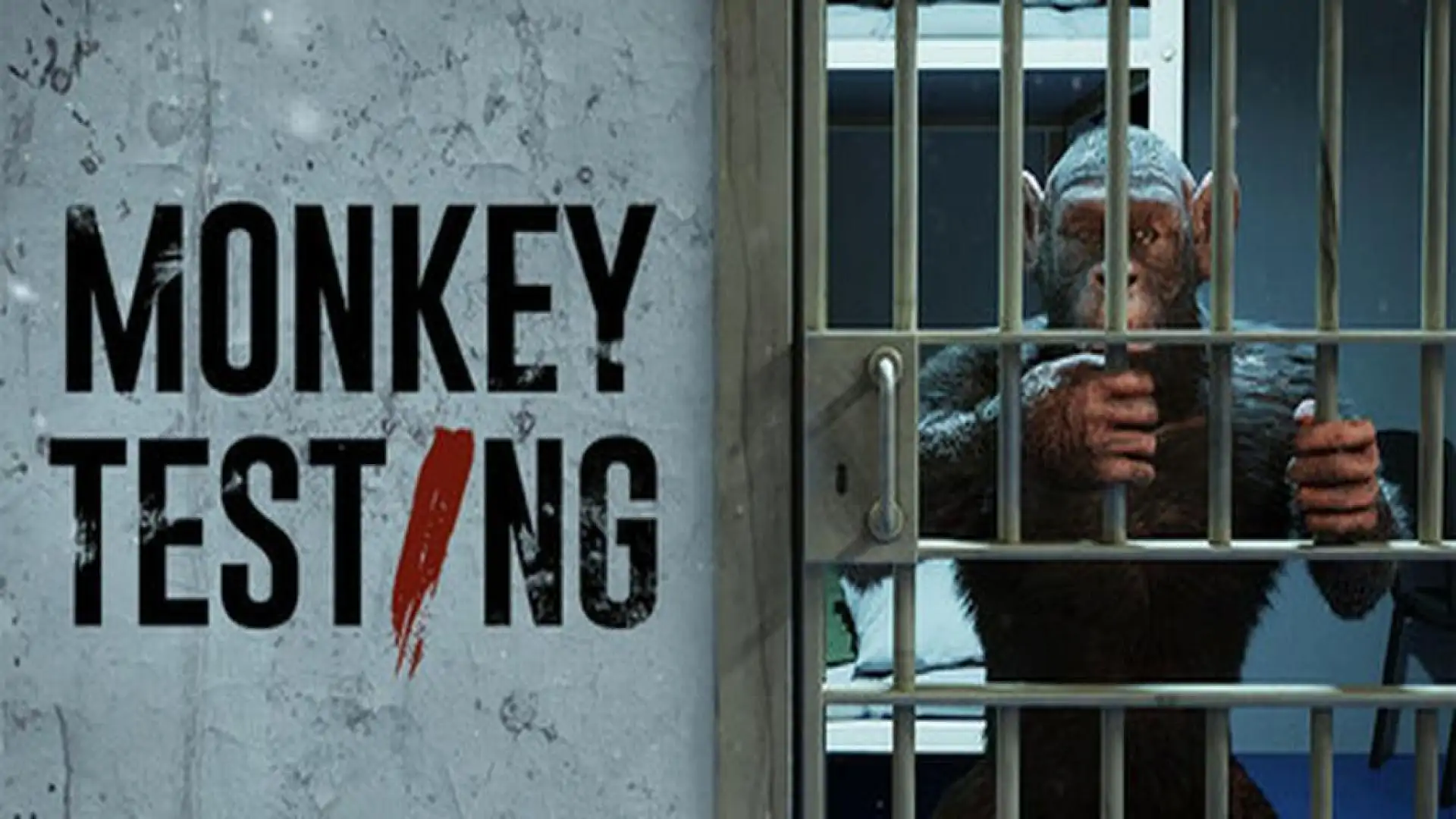 Monkey Testing