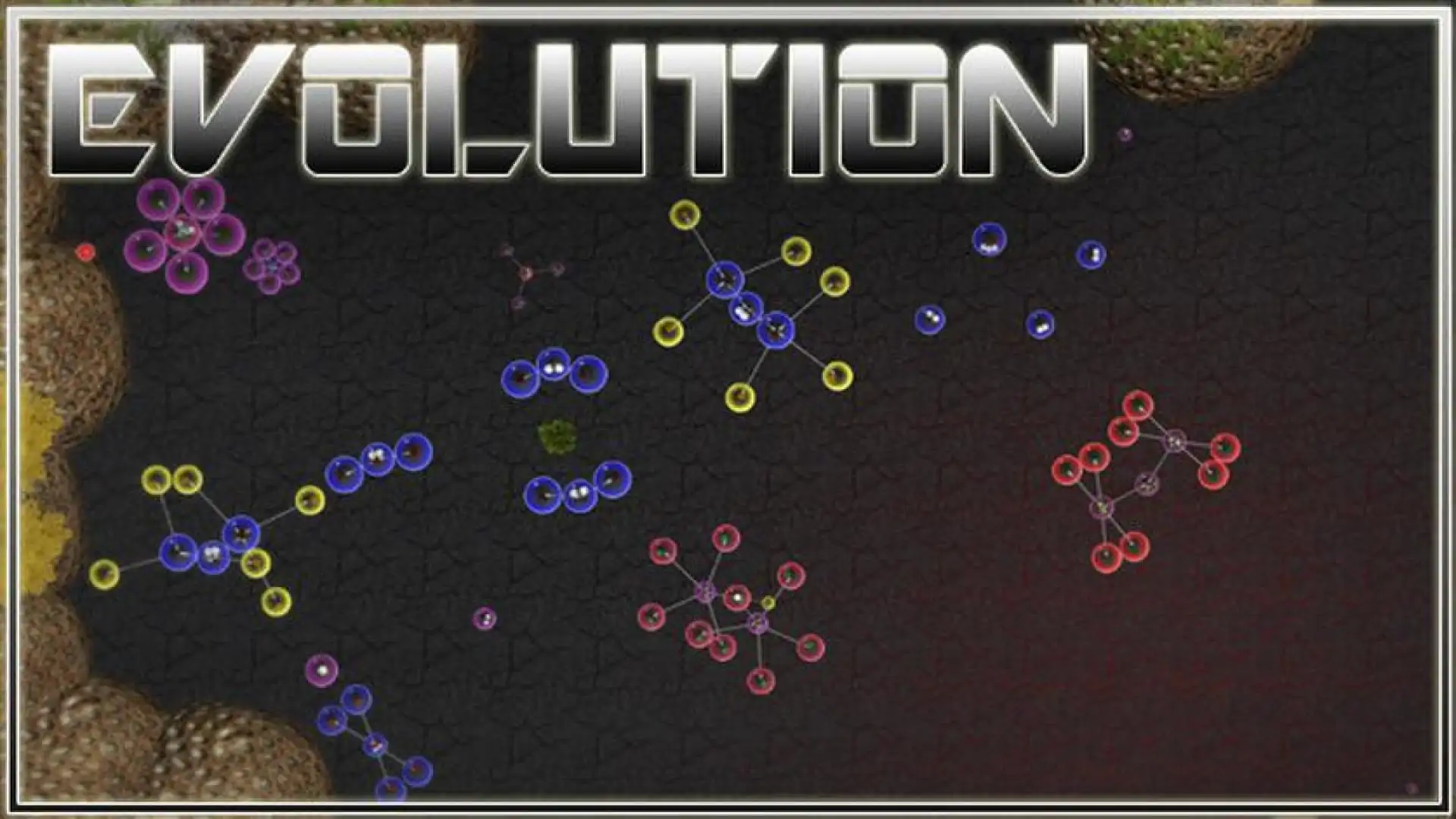 Evolution