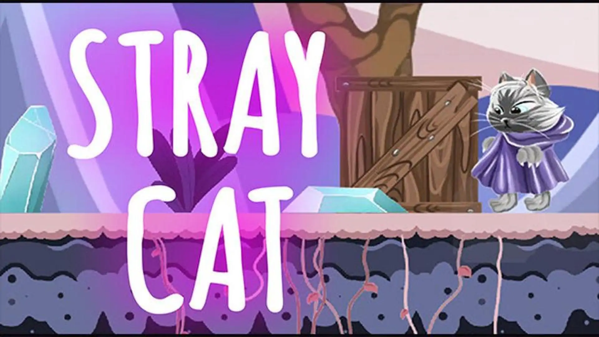 STRAY CAT