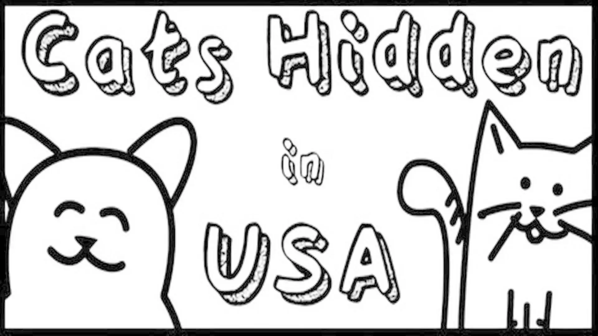 Cats Hidden in USA