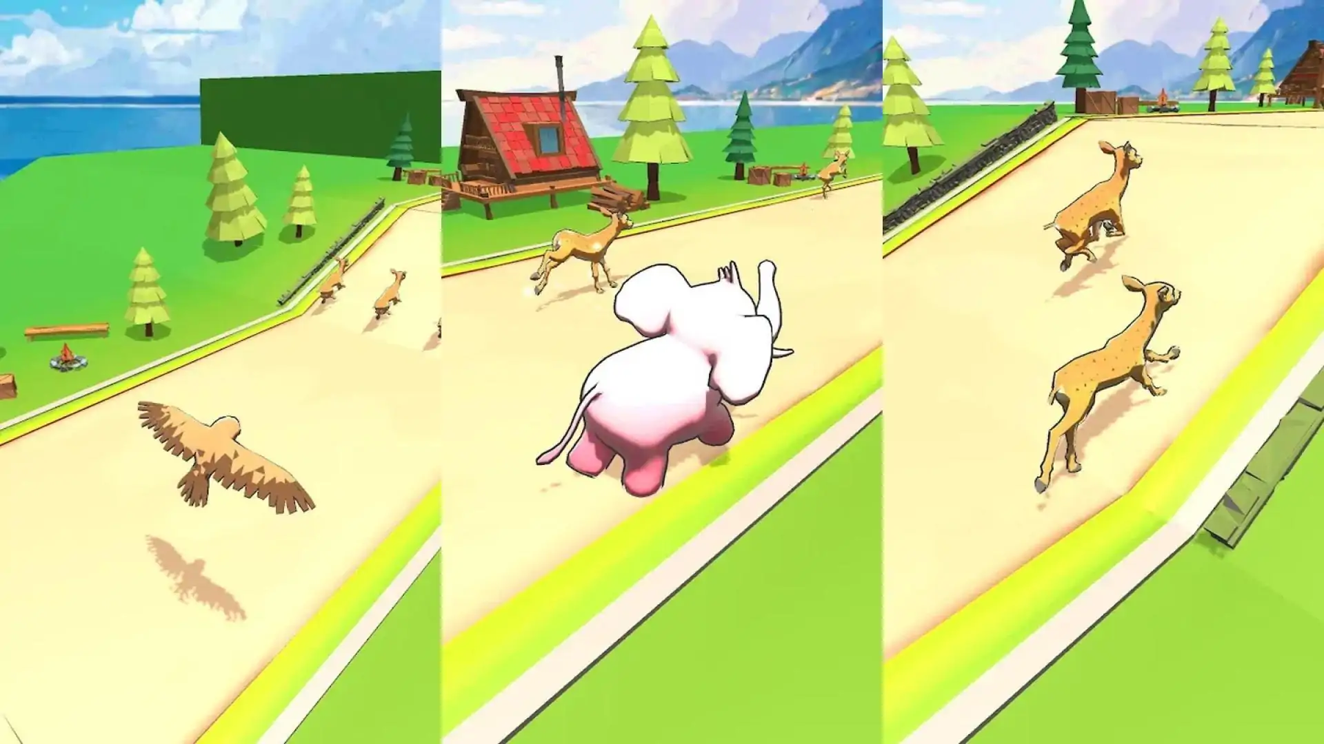 动物竞赛-飞行动物园