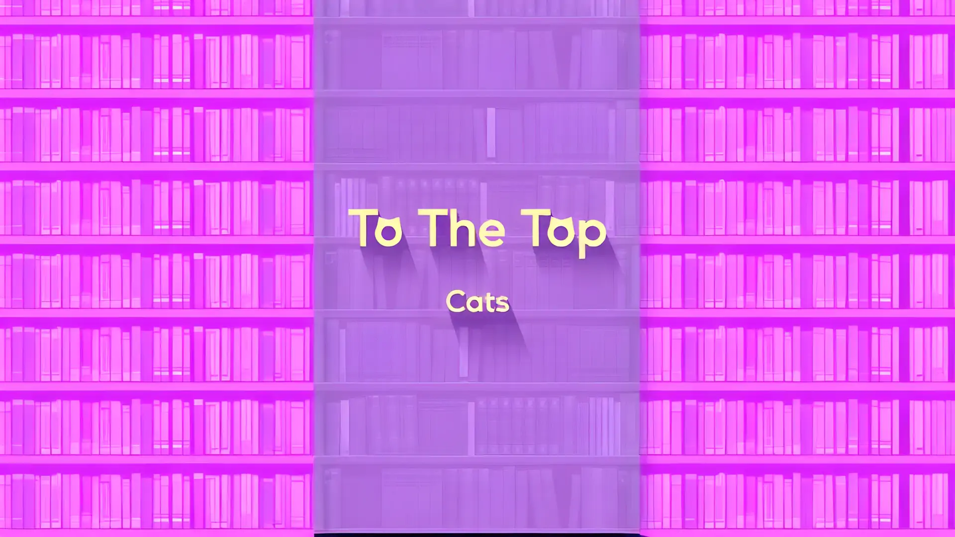 到顶部：猫