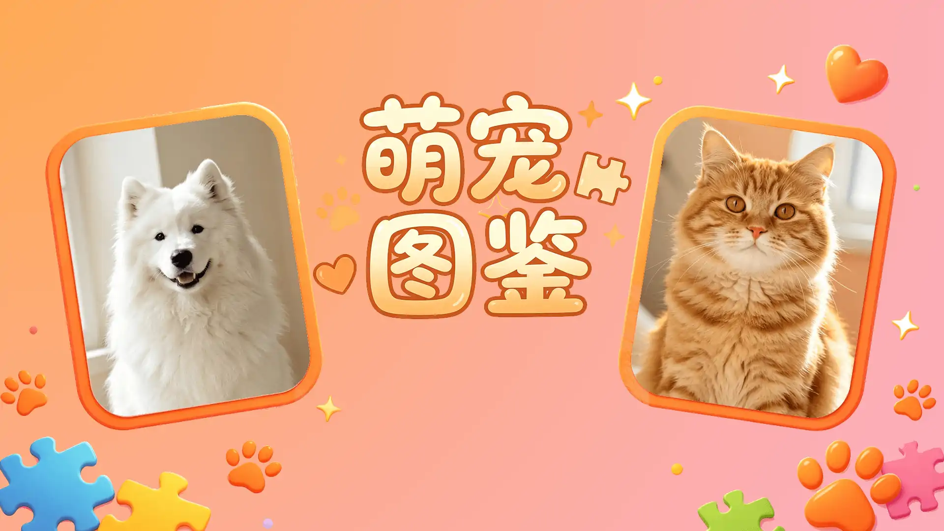 萌宠图鉴