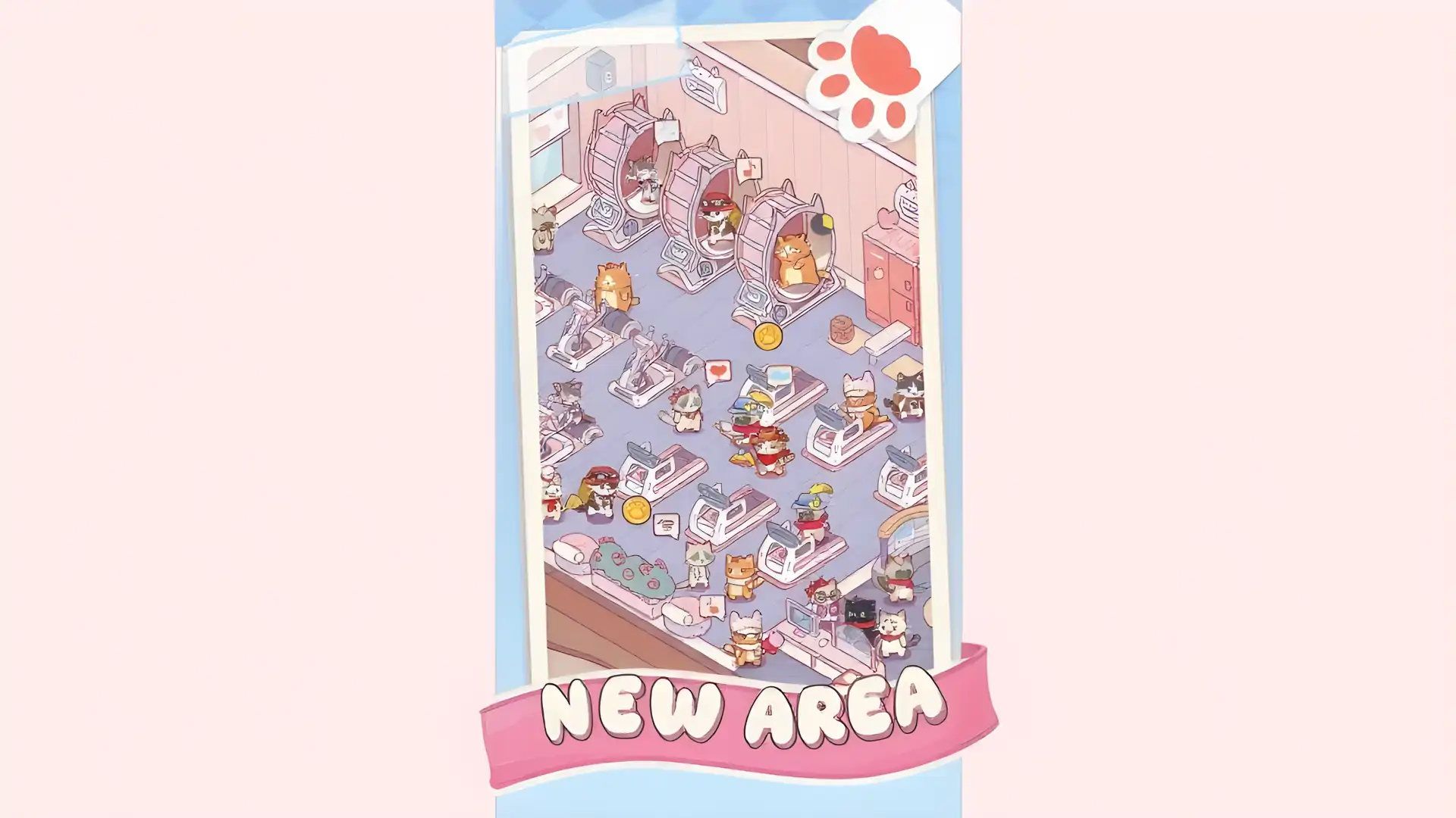 猫咪健身房