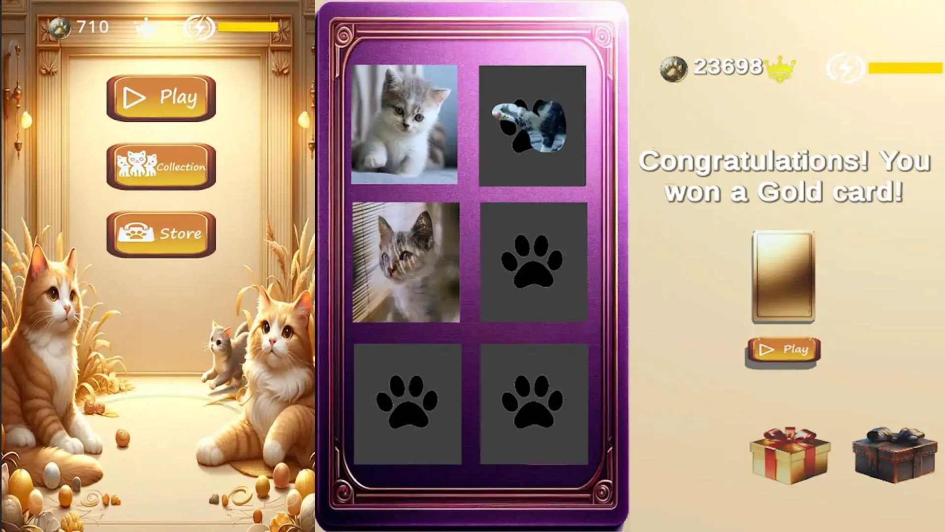 刮刮猫