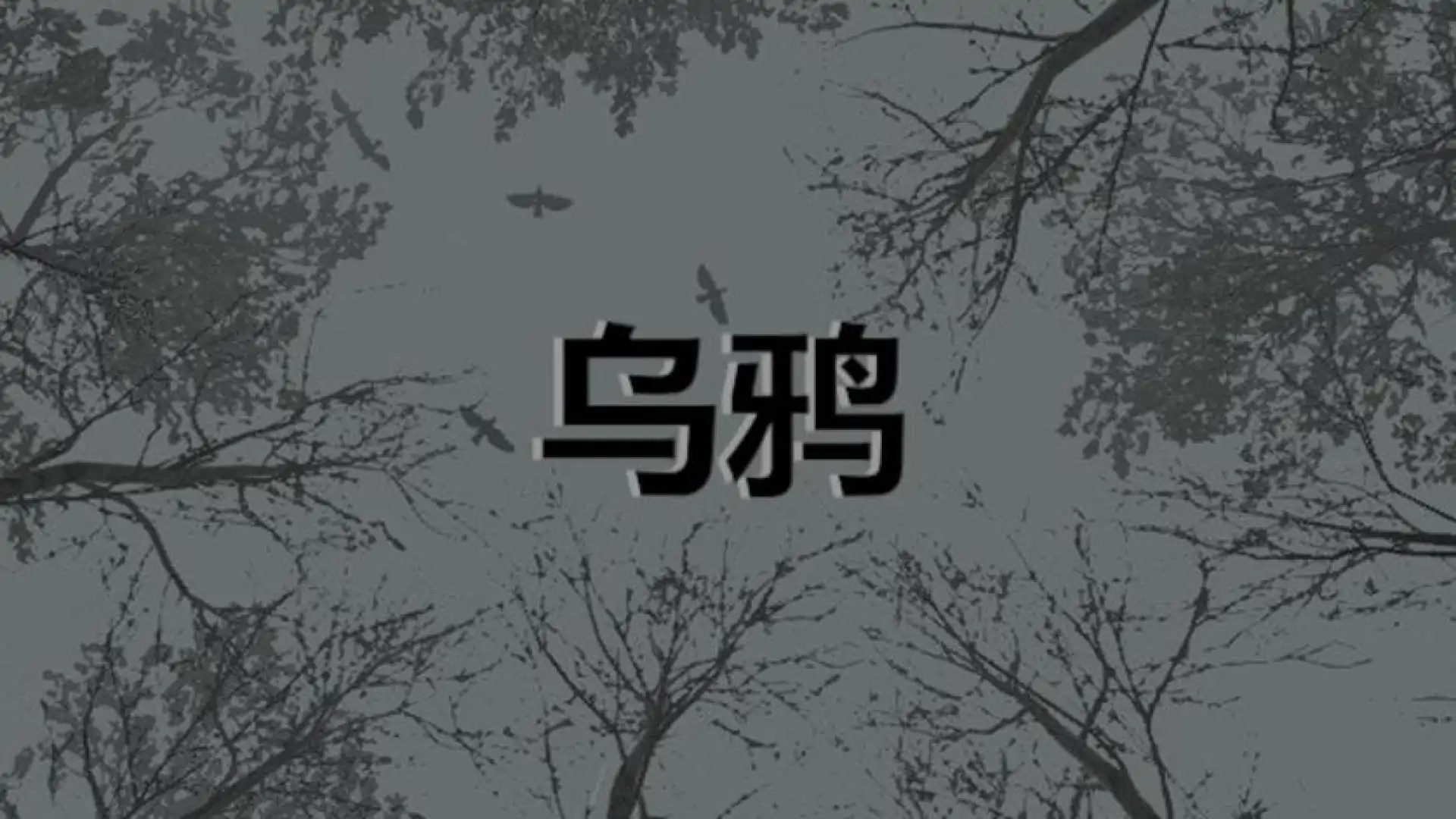 乌鸦 - Crows