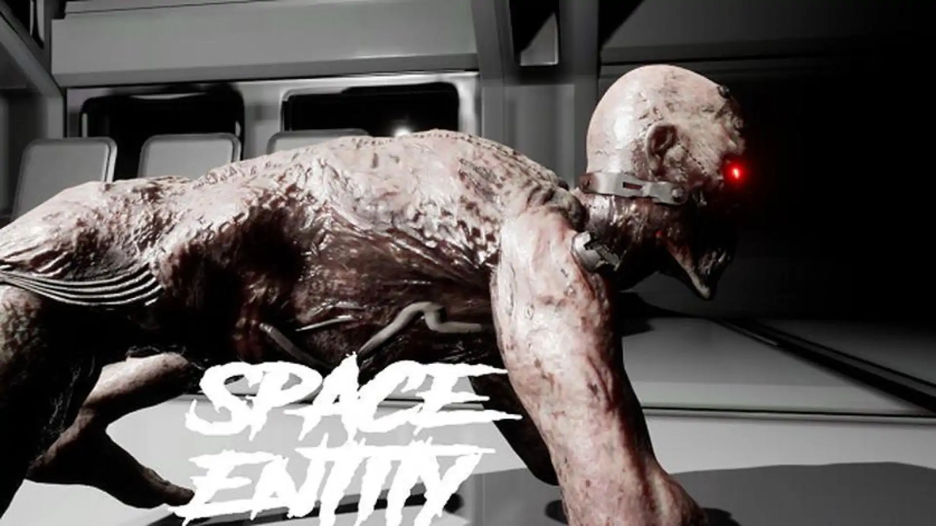 Space Entity
