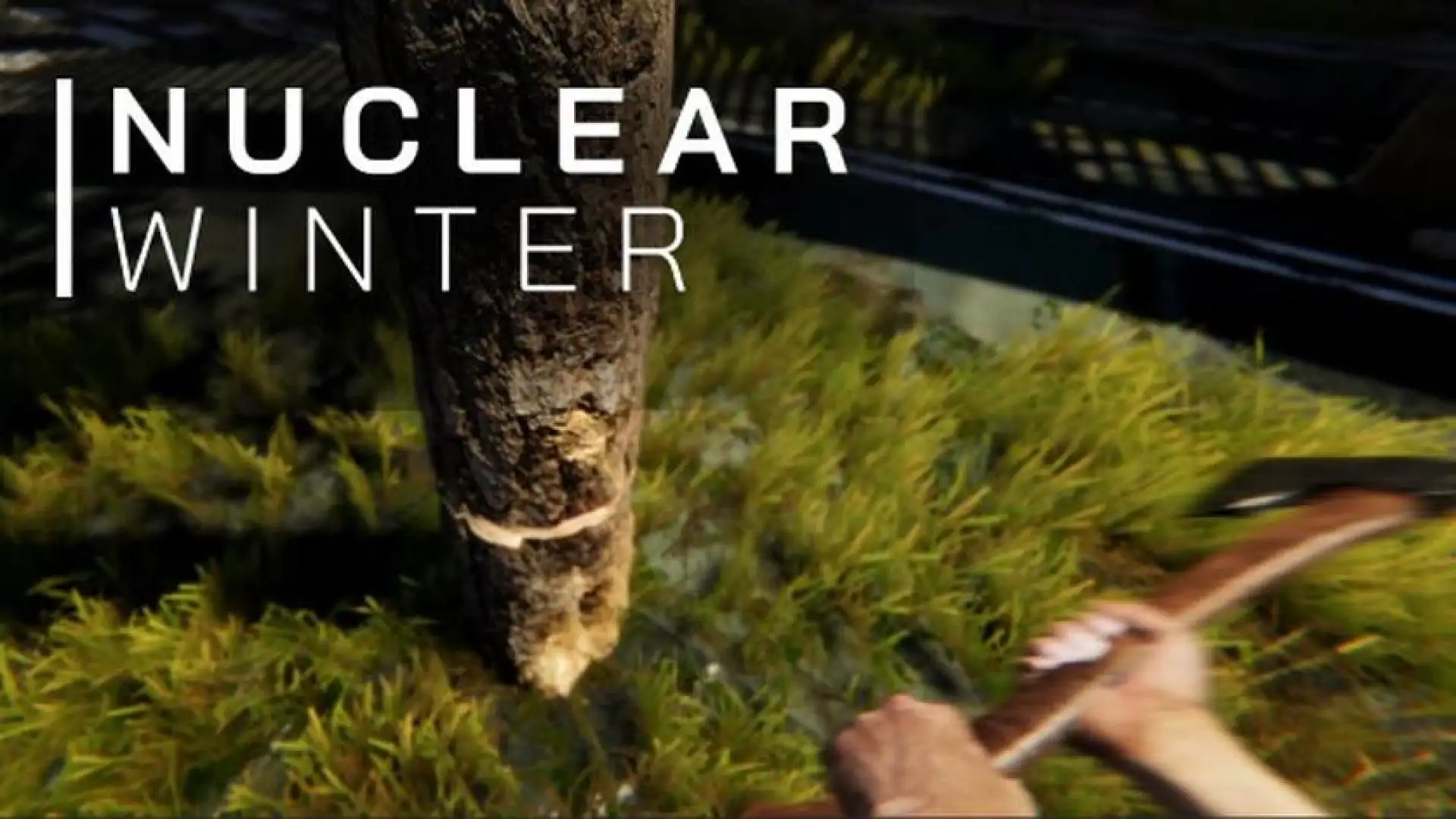 Nuclear Winter