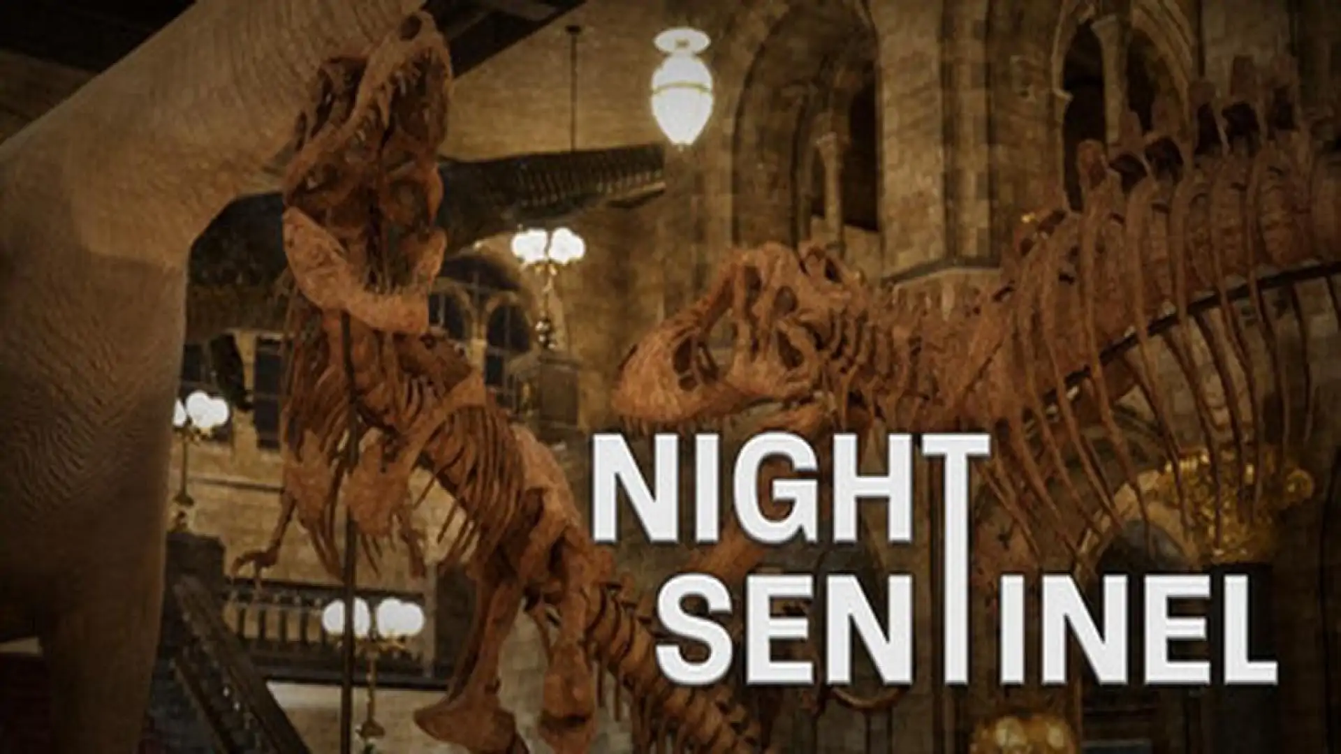 Night Sentinel