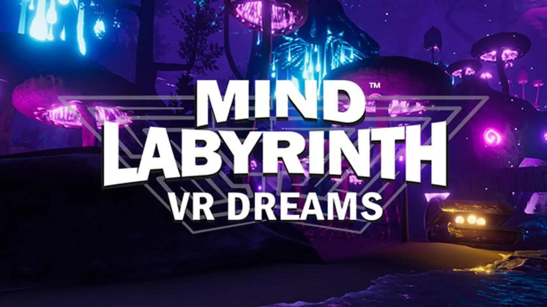 Mind Labyrinth VR Dreams