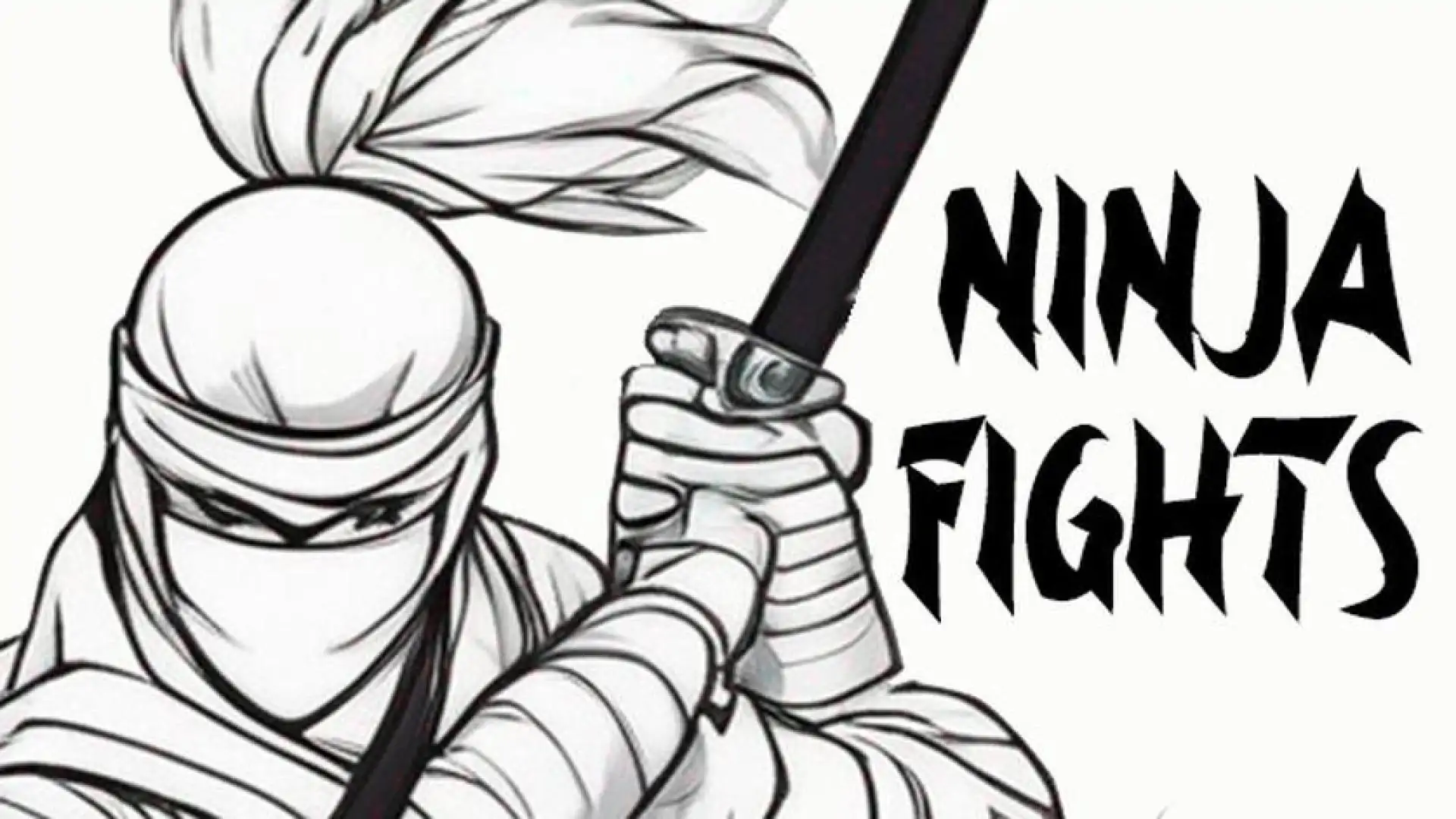 Ninja Fights