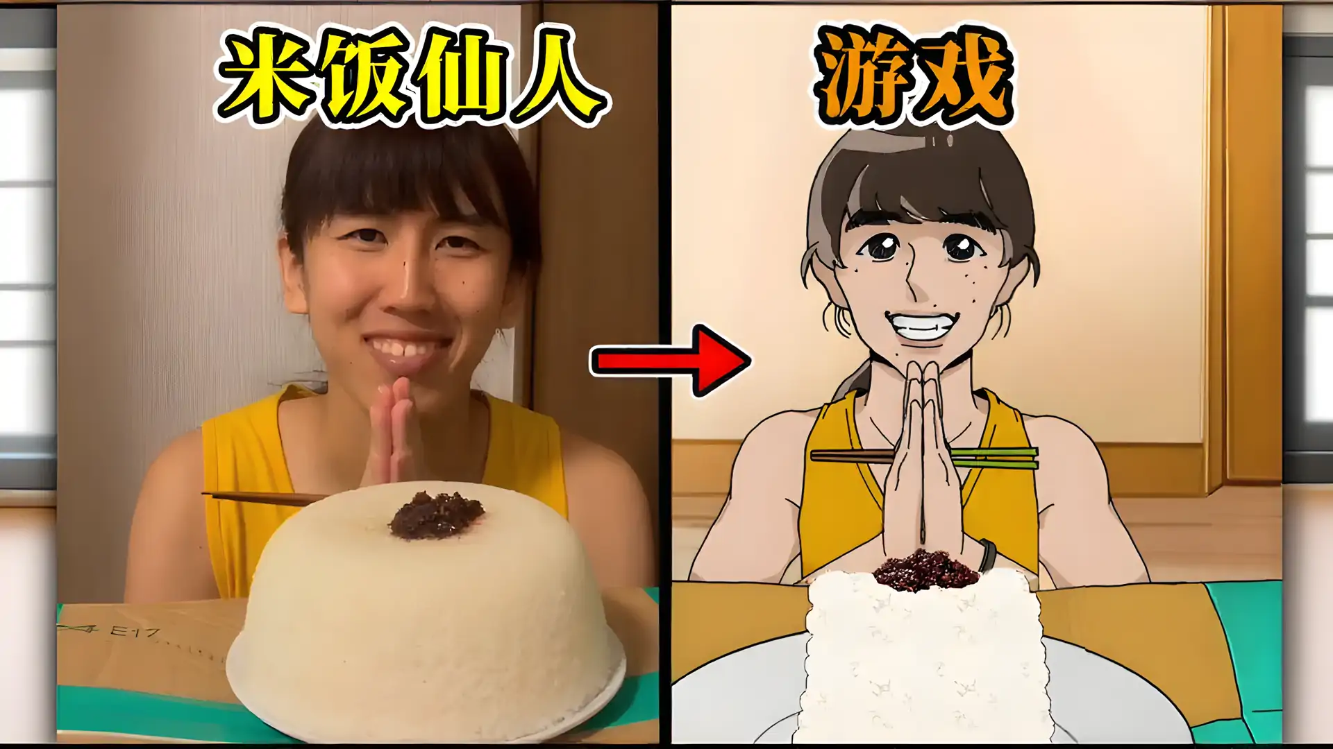 米饭仙人（B站火山哥哥自制）
