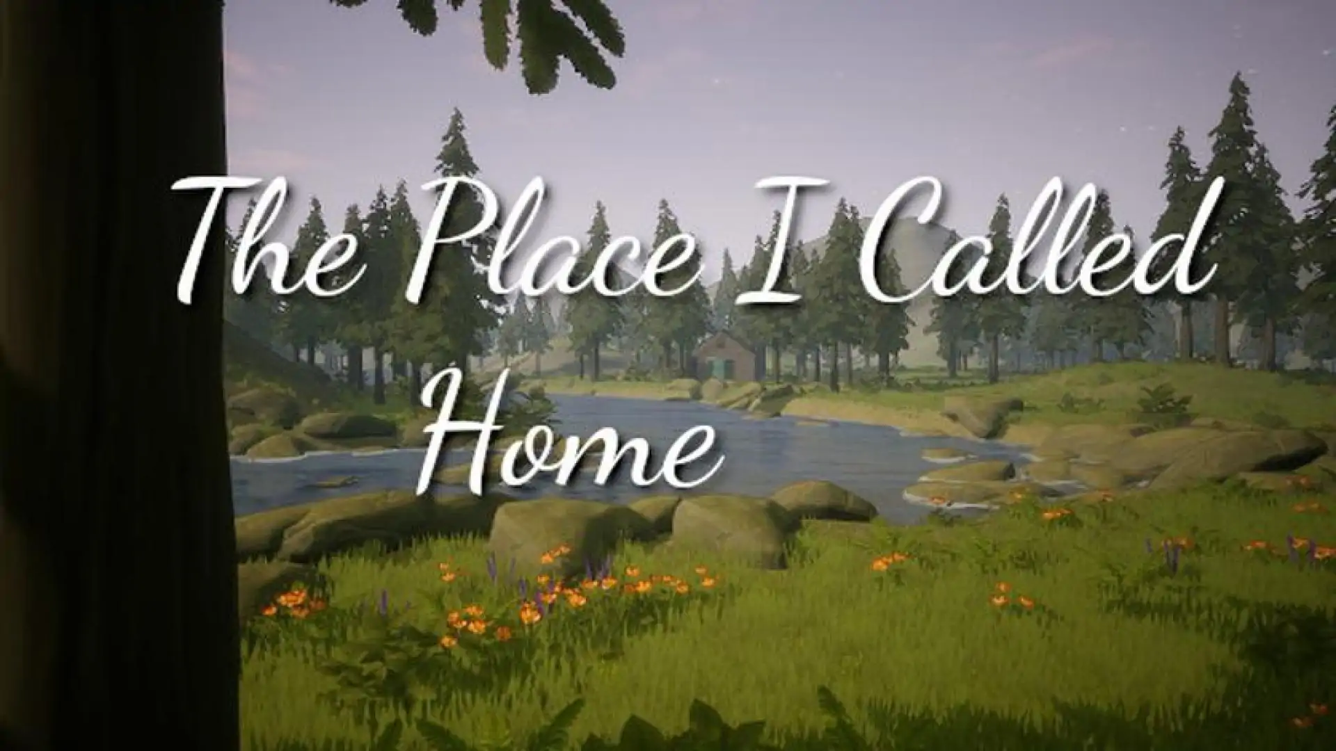 The Place I Called Home