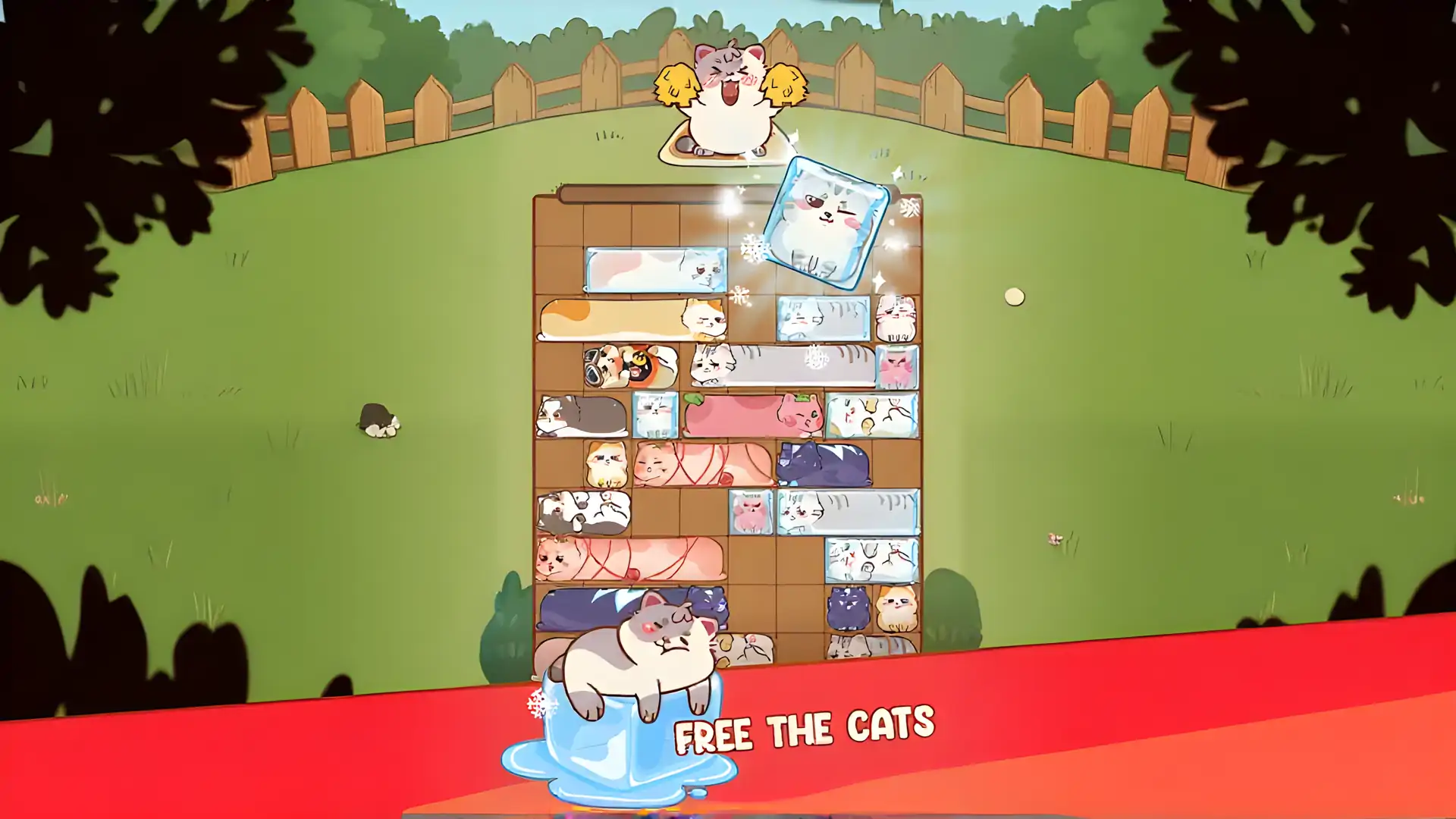 滑动猫