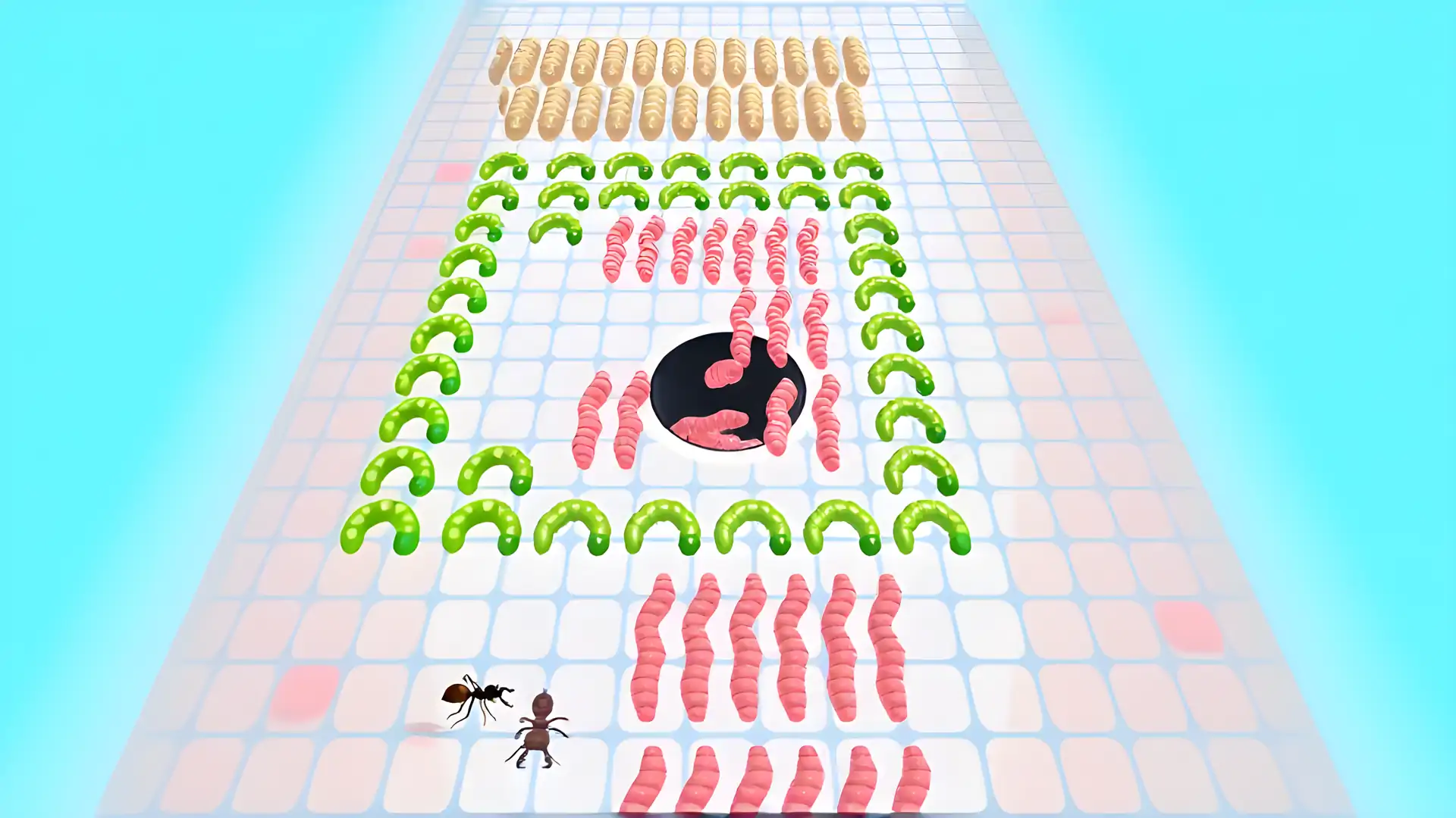 虫洞