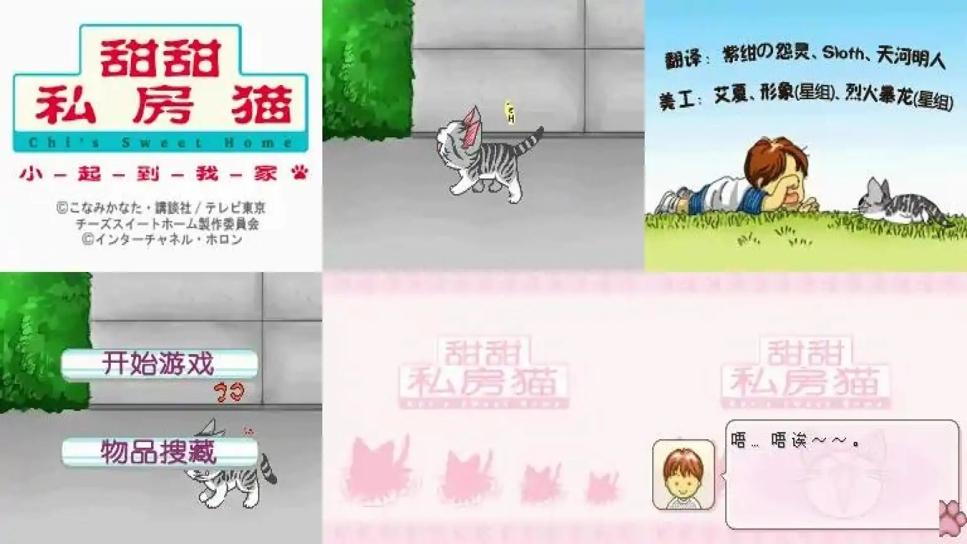 甜甜私房猫-小起到我家