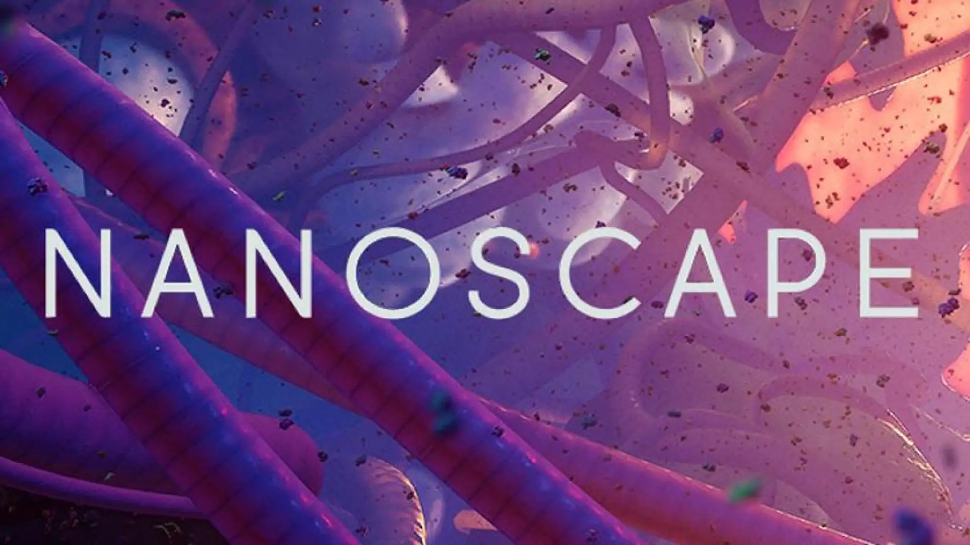 Nanoscape