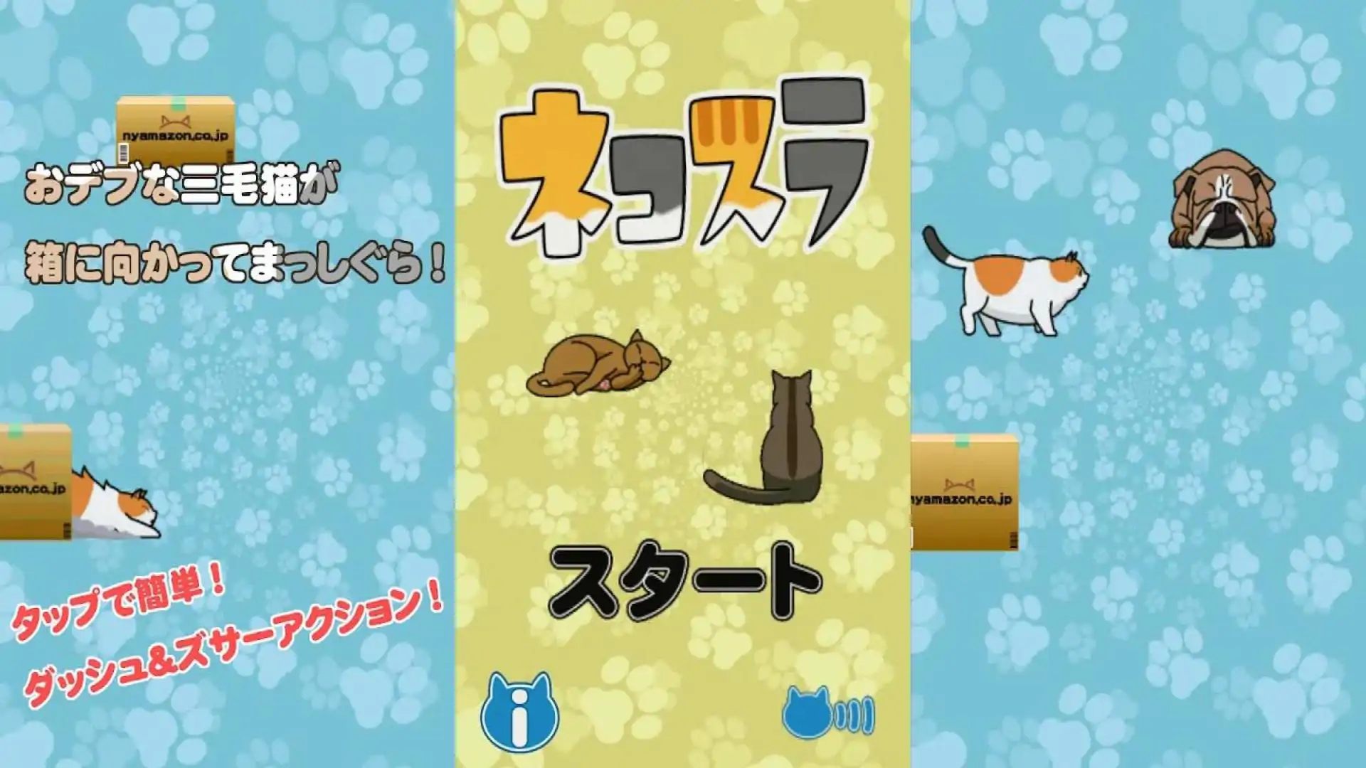 猫滑