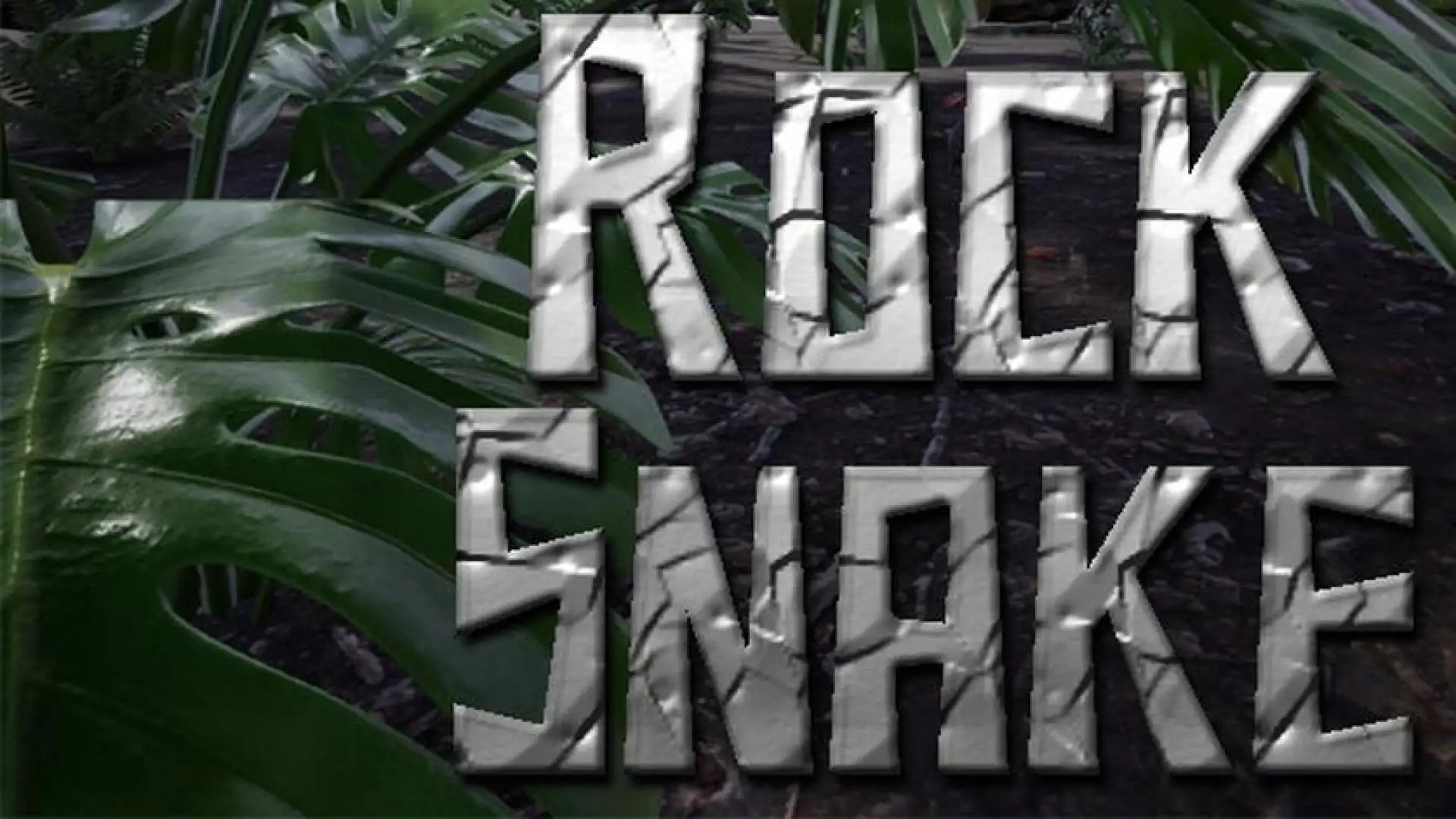 Rock Snake