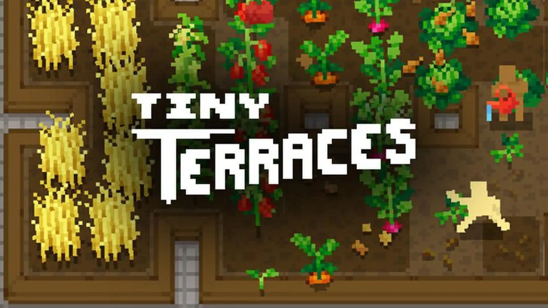 Tiny Terraces