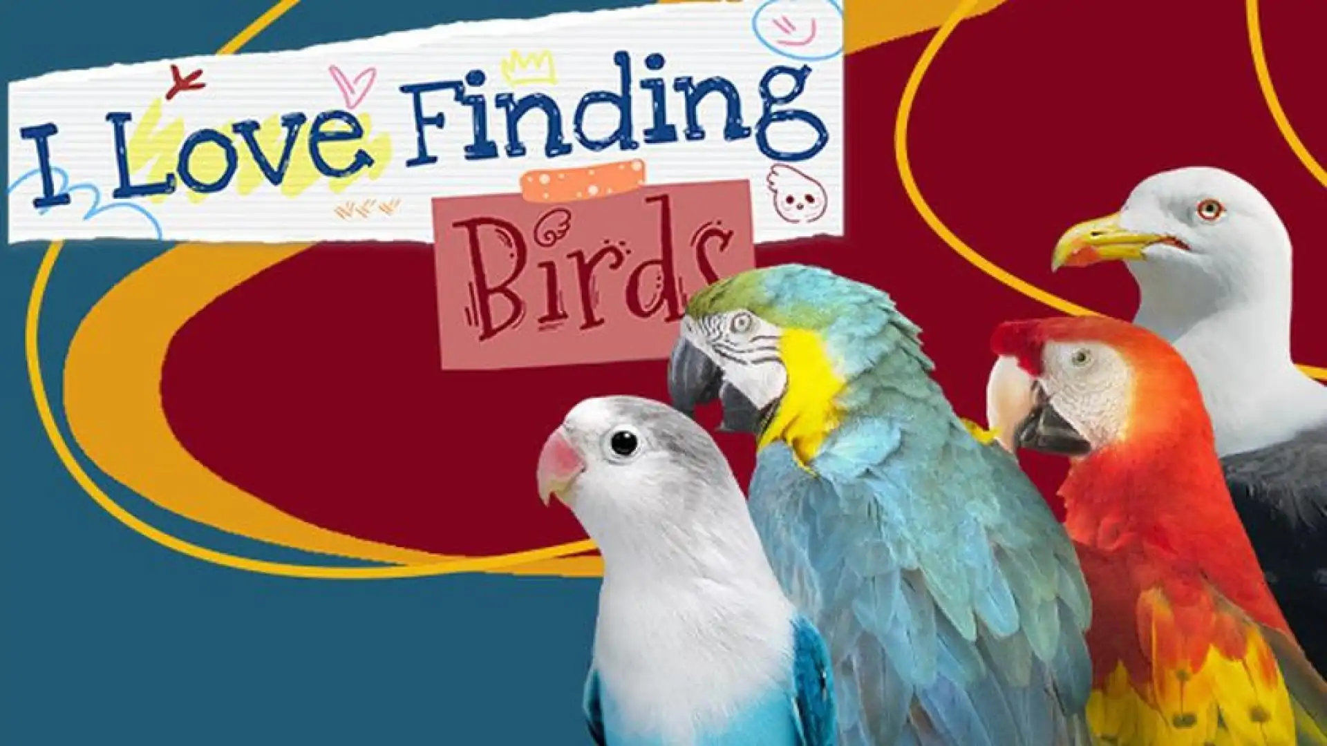 I Love Finding Birds