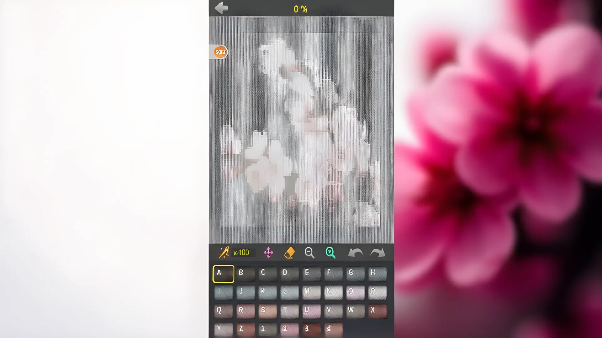十字绣王