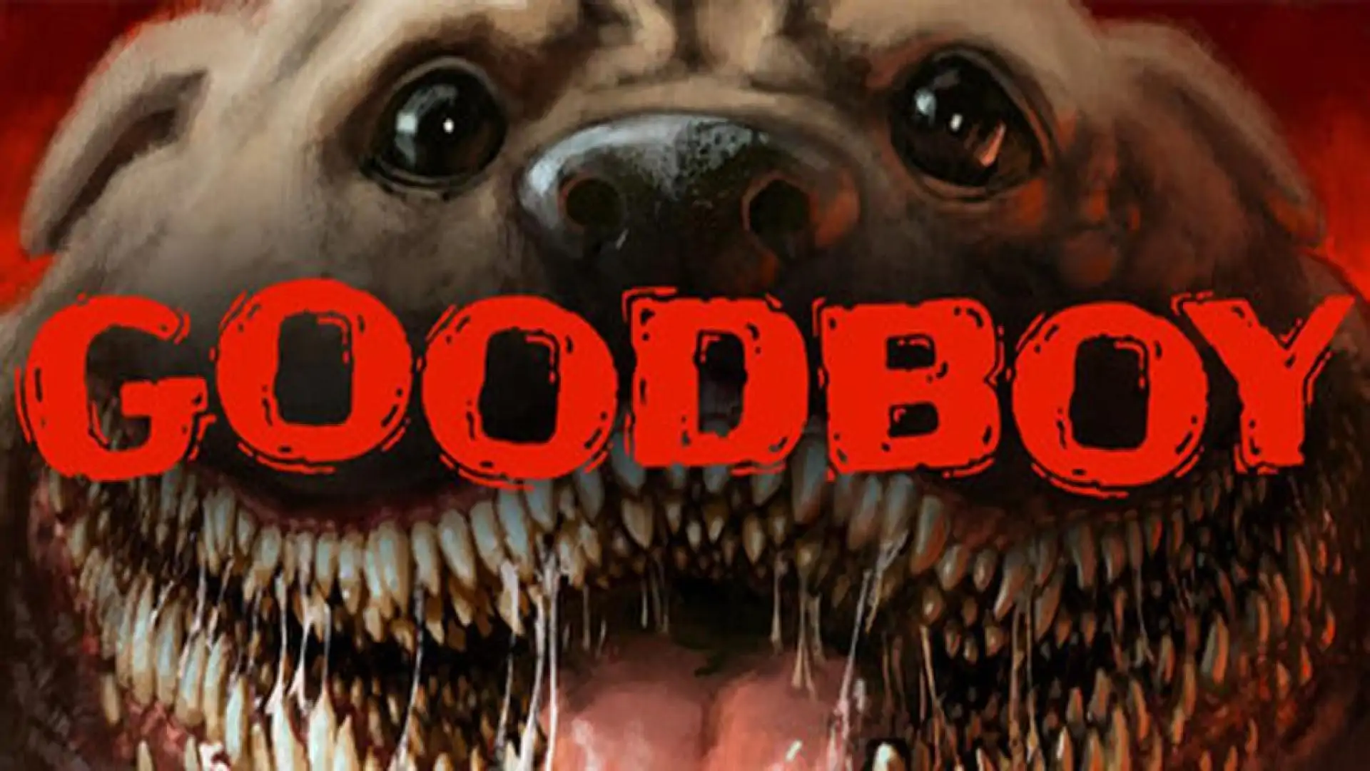 Good Boy