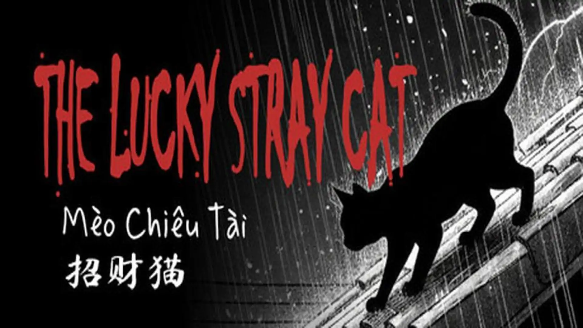 The Lucky Stray Cat - 招财猫 - Mèo Chiêu Tài
