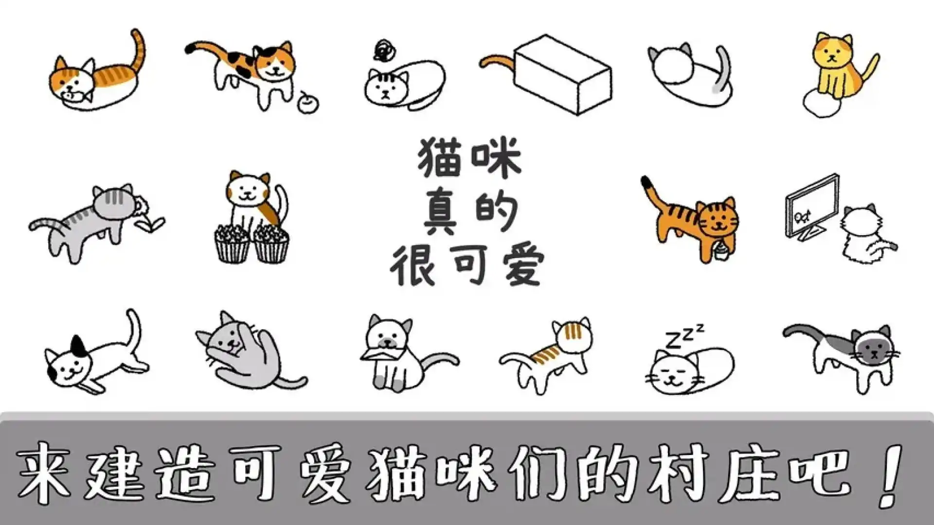 猫咪真的很可爱