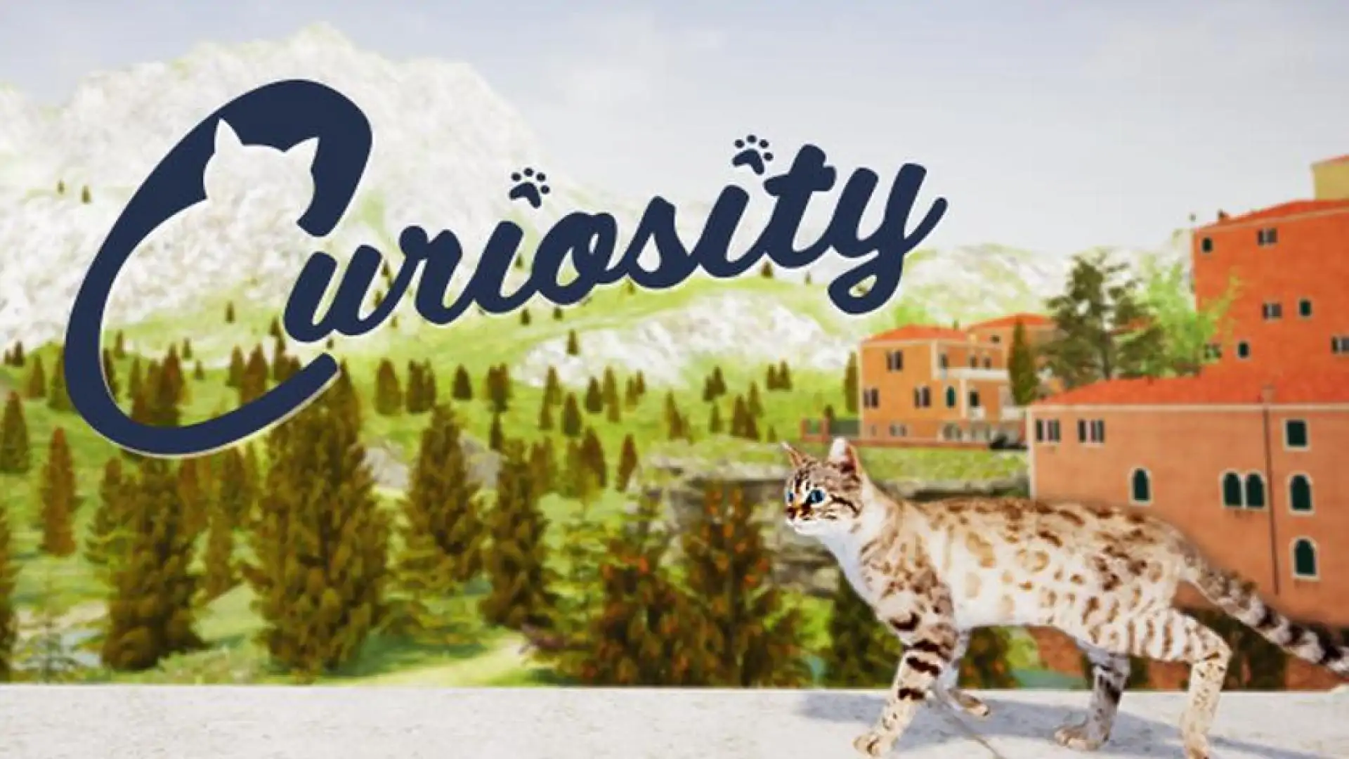 Curiosity: A Cat Climbing Game