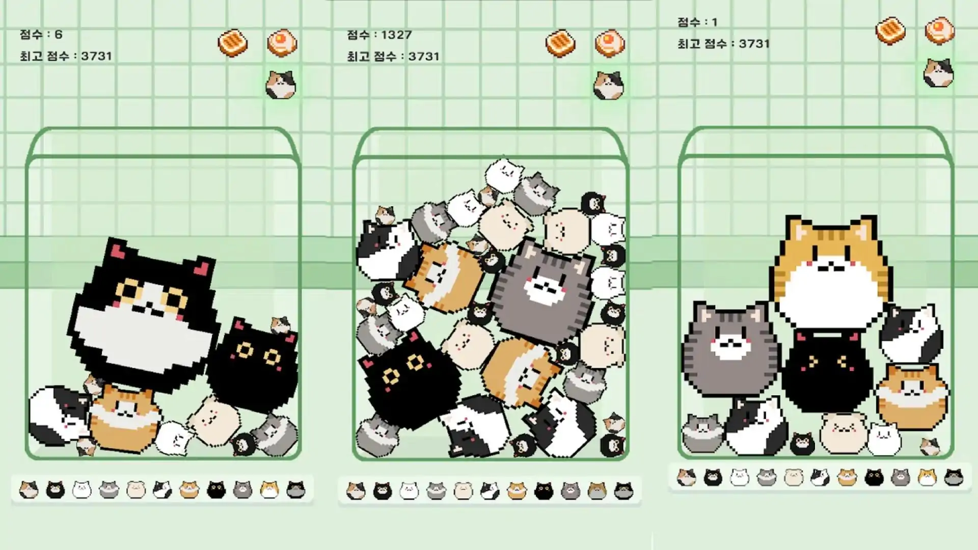 猫组合猫