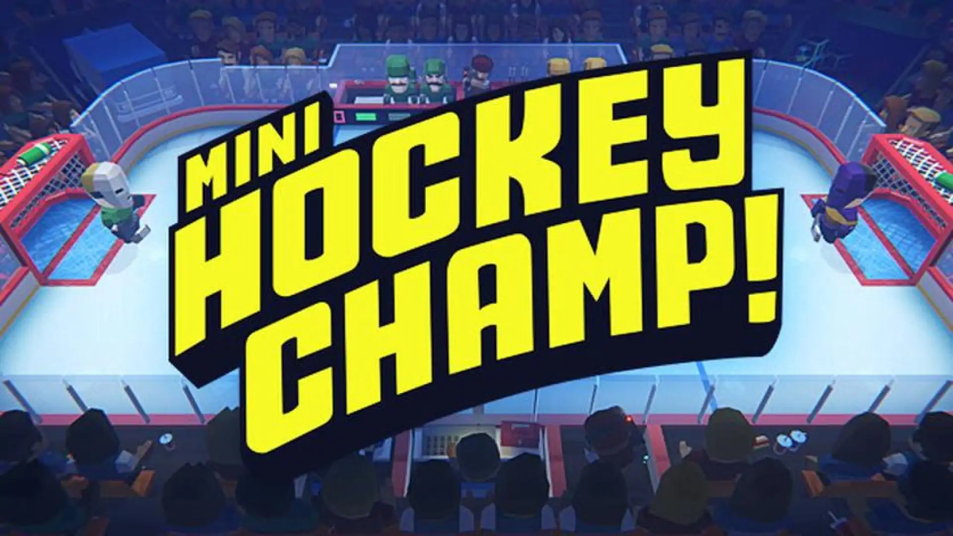 Mini Hockey Champ!