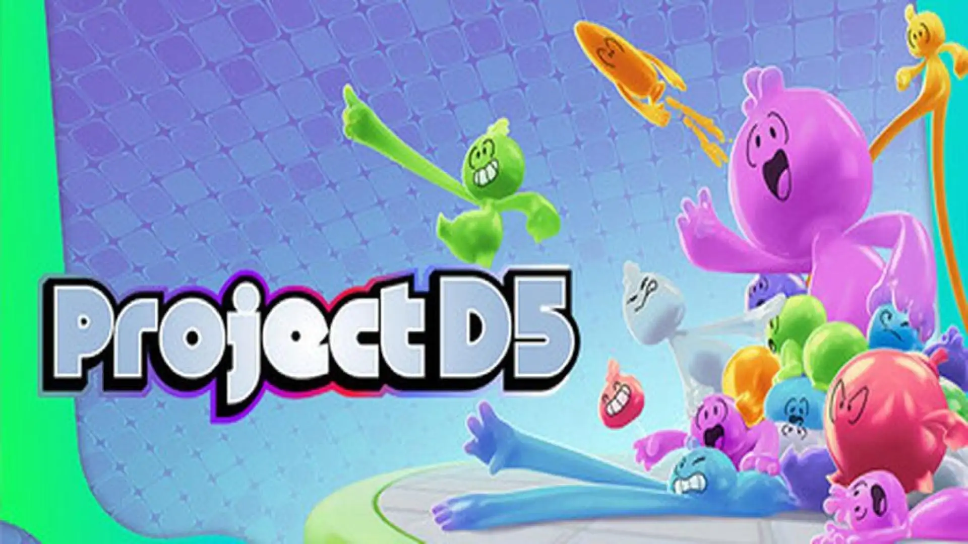 Project D5