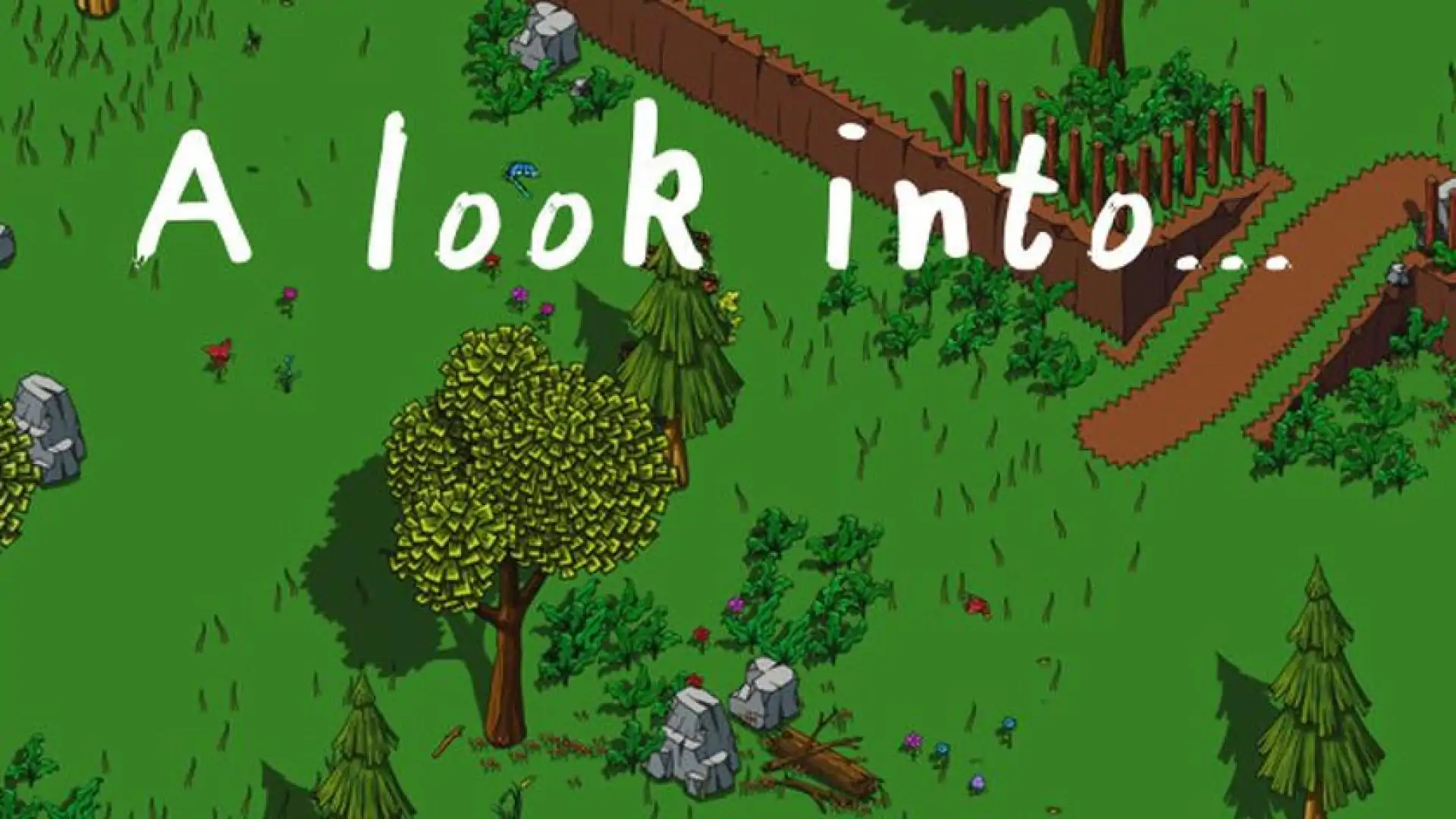 A look into...