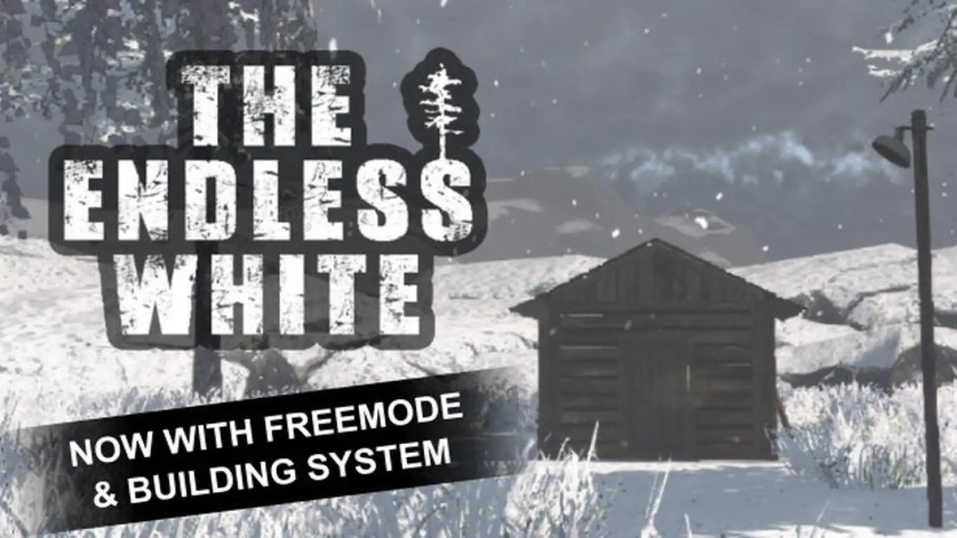 The Endless White